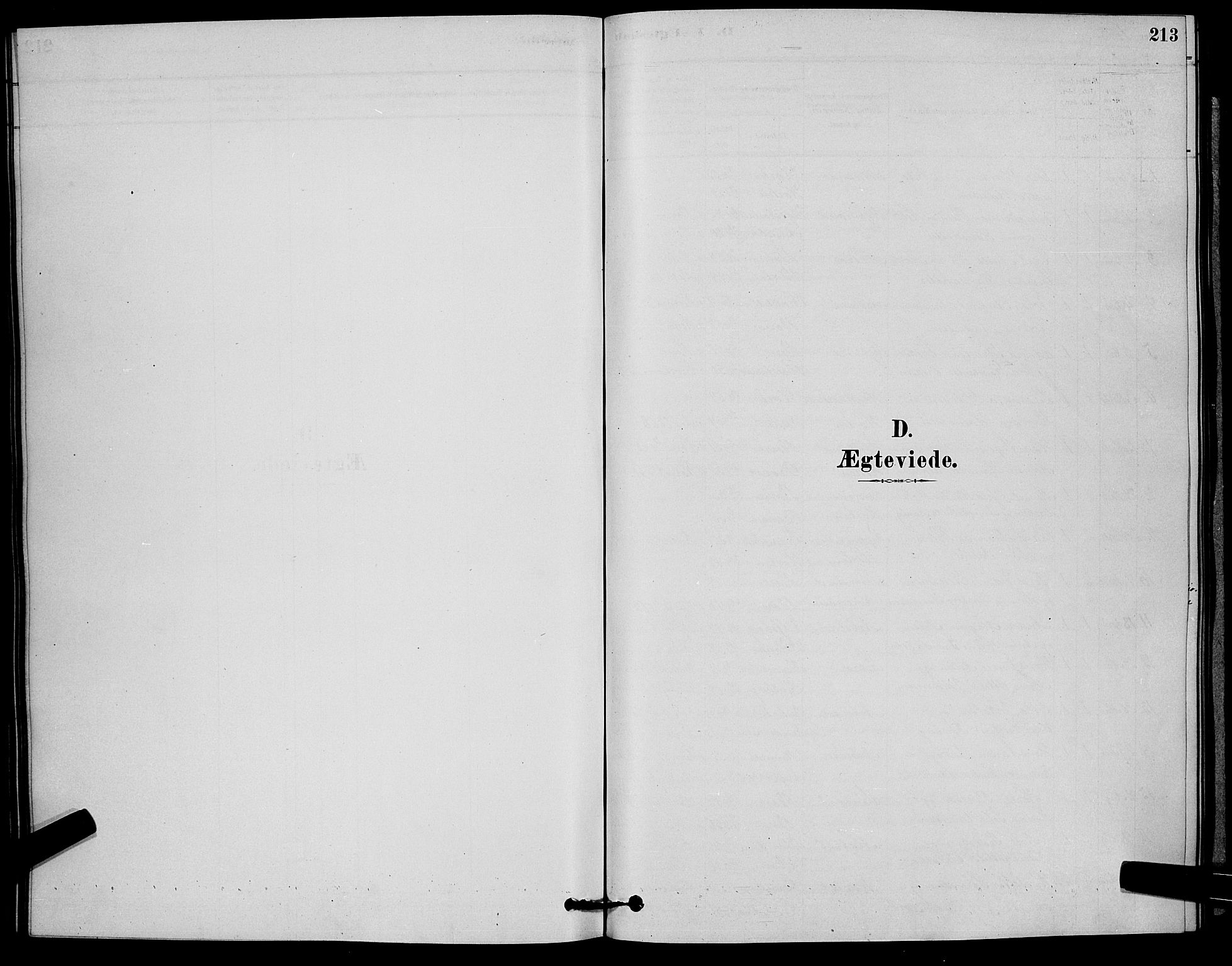 Horten kirkebøker, SAKO/A-348/G/Ga/L0003: Klokkerbok nr. 4, 1878-1887, s. 213