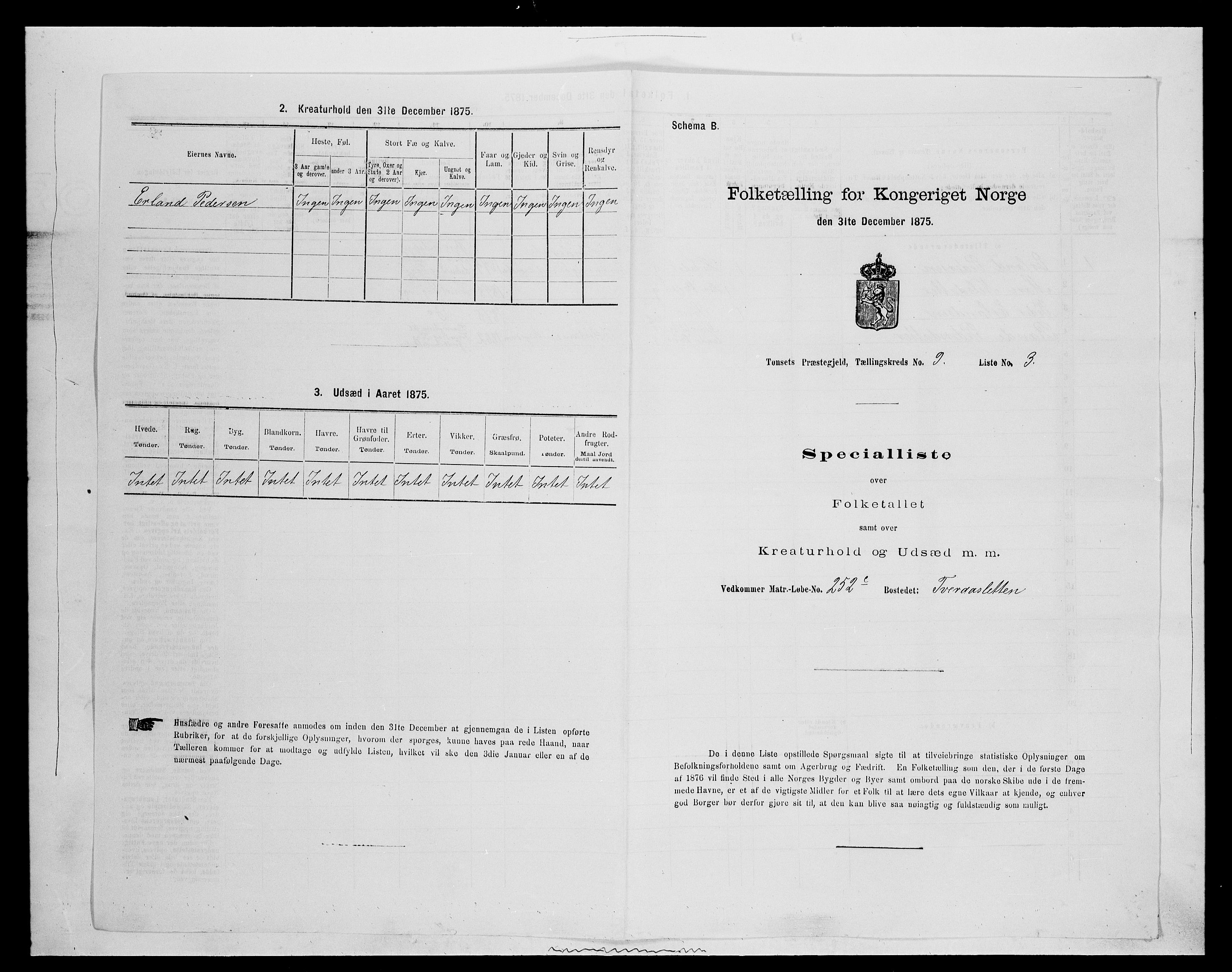 SAH, Folketelling 1875 for 0437P Tynset prestegjeld, 1875, s. 909