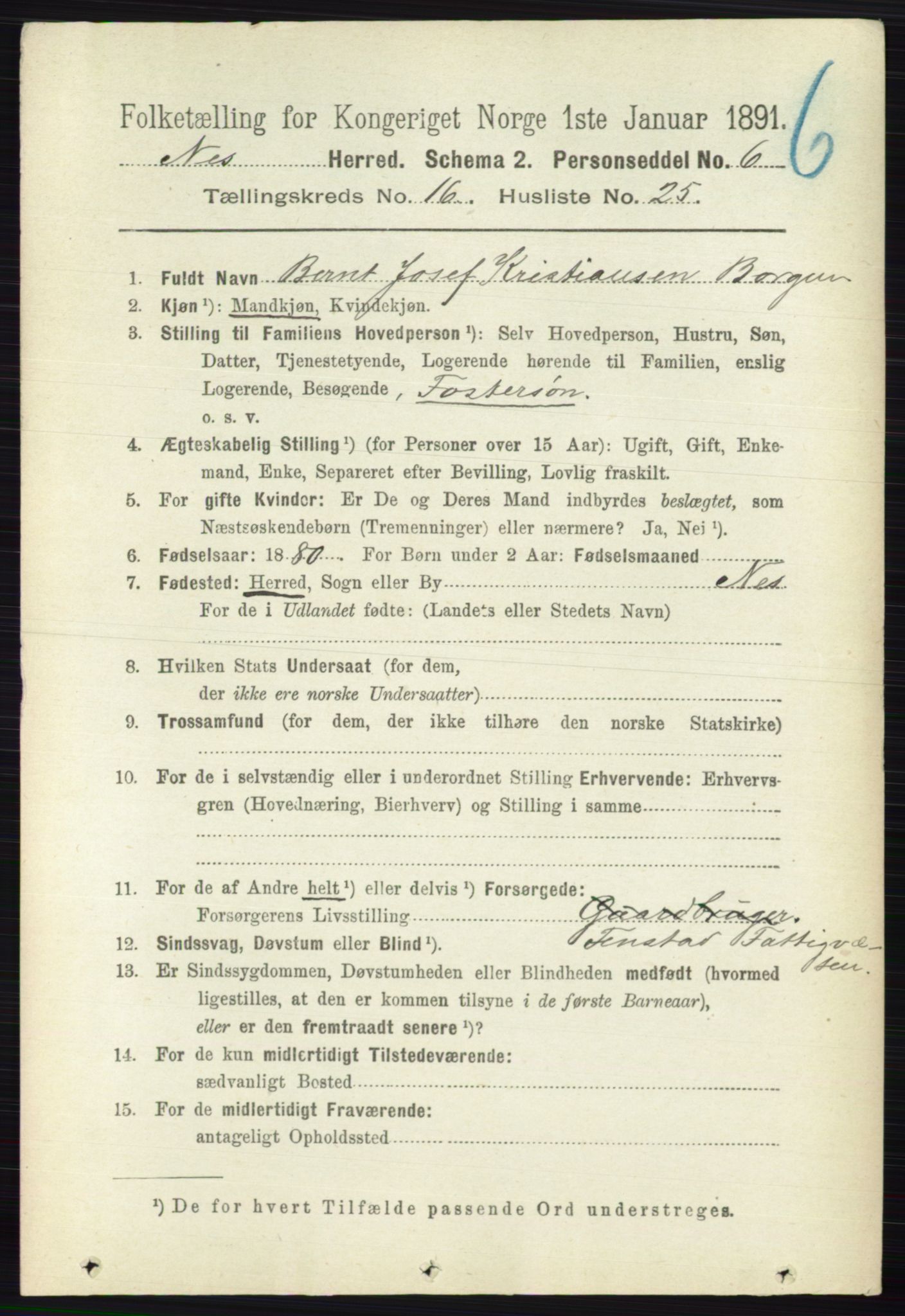 RA, Folketelling 1891 for 0236 Nes herred, 1891, s. 9703