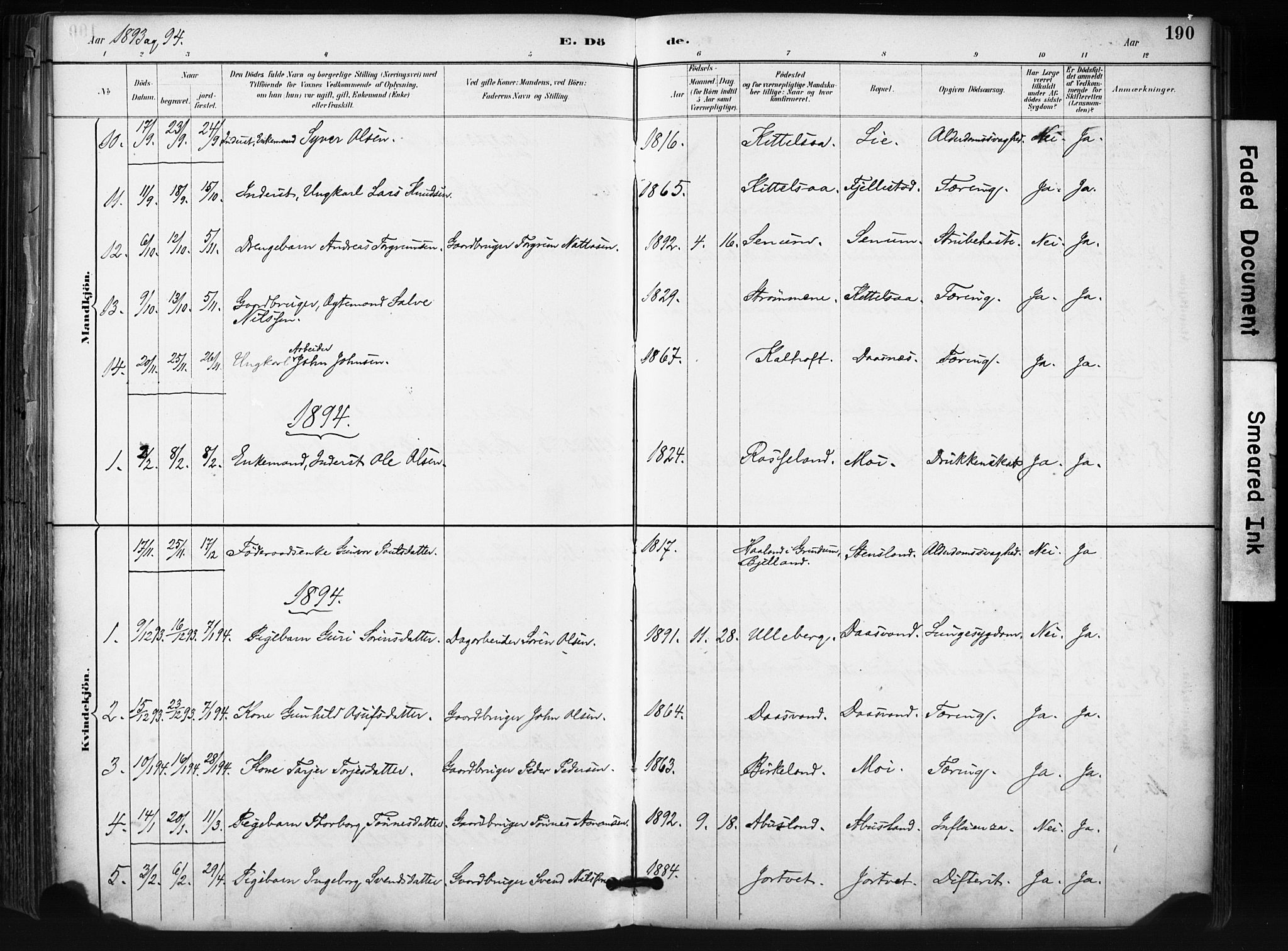 Evje sokneprestkontor, SAK/1111-0008/F/Fa/Fab/L0003: Ministerialbok nr. A 3, 1884-1909, s. 190