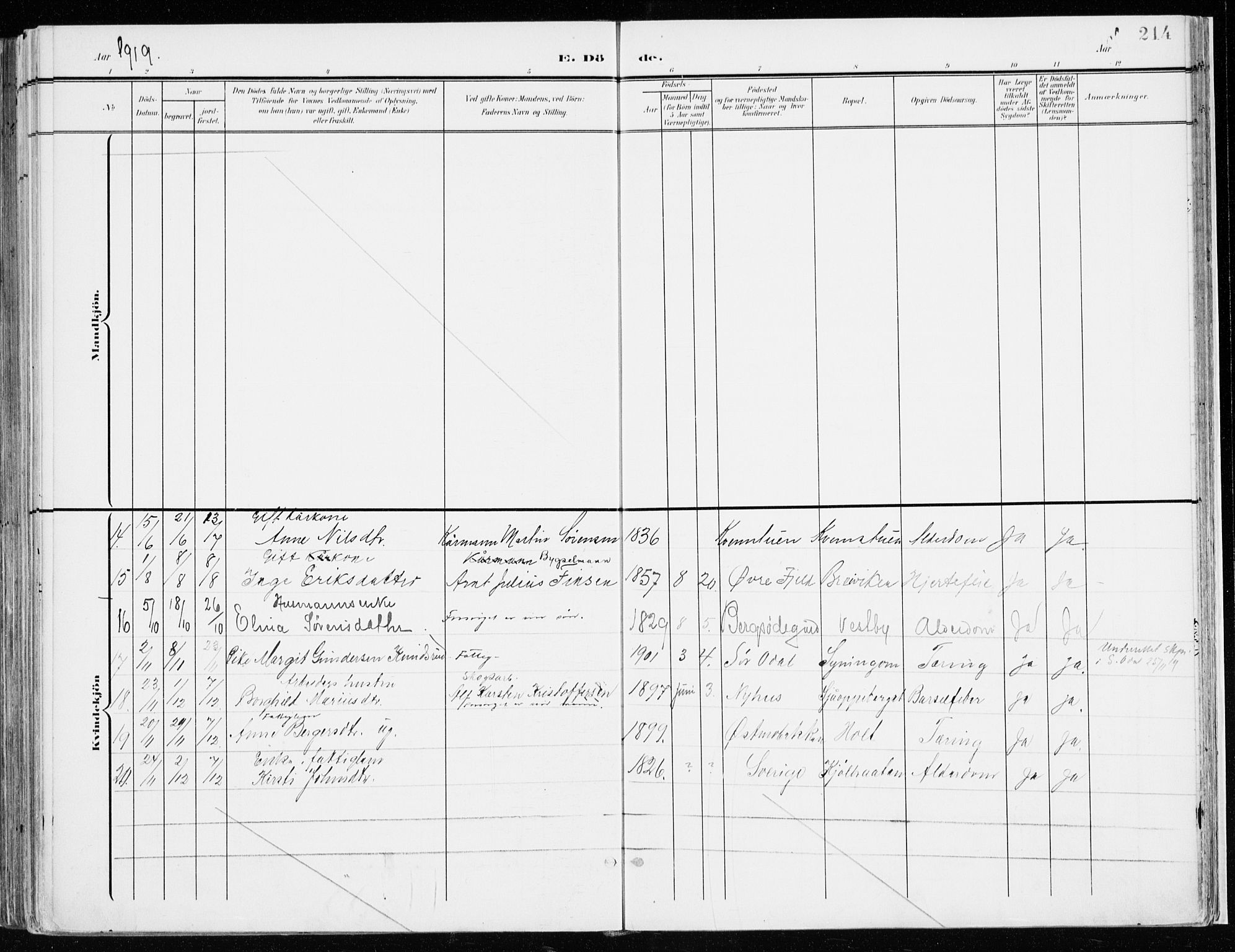 Nord-Odal prestekontor, AV/SAH-PREST-032/H/Ha/Haa/L0009: Ministerialbok nr. 9, 1902-1926, s. 214