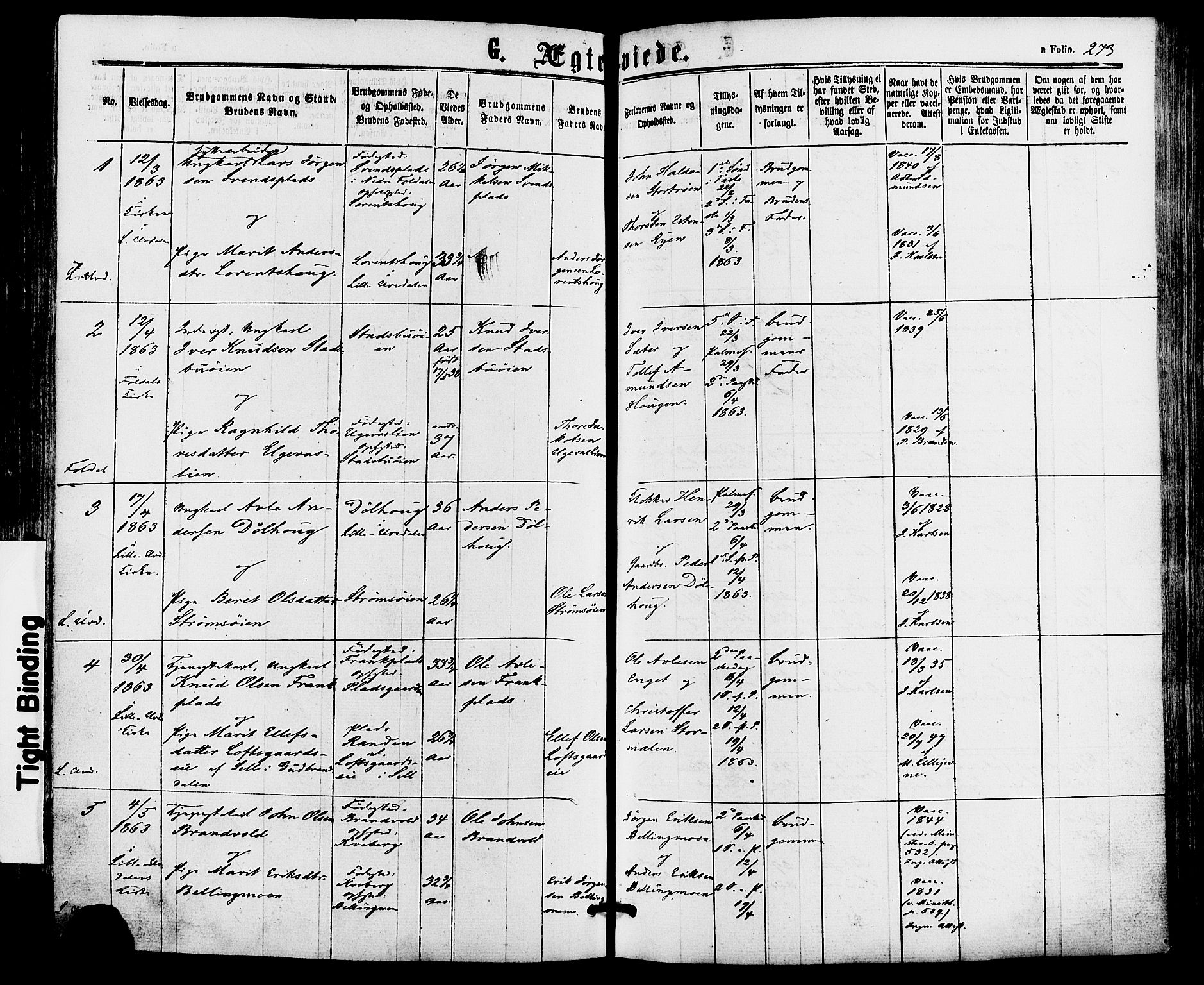 Alvdal prestekontor, AV/SAH-PREST-060/H/Ha/Haa/L0001: Ministerialbok nr. 1, 1863-1882, s. 273