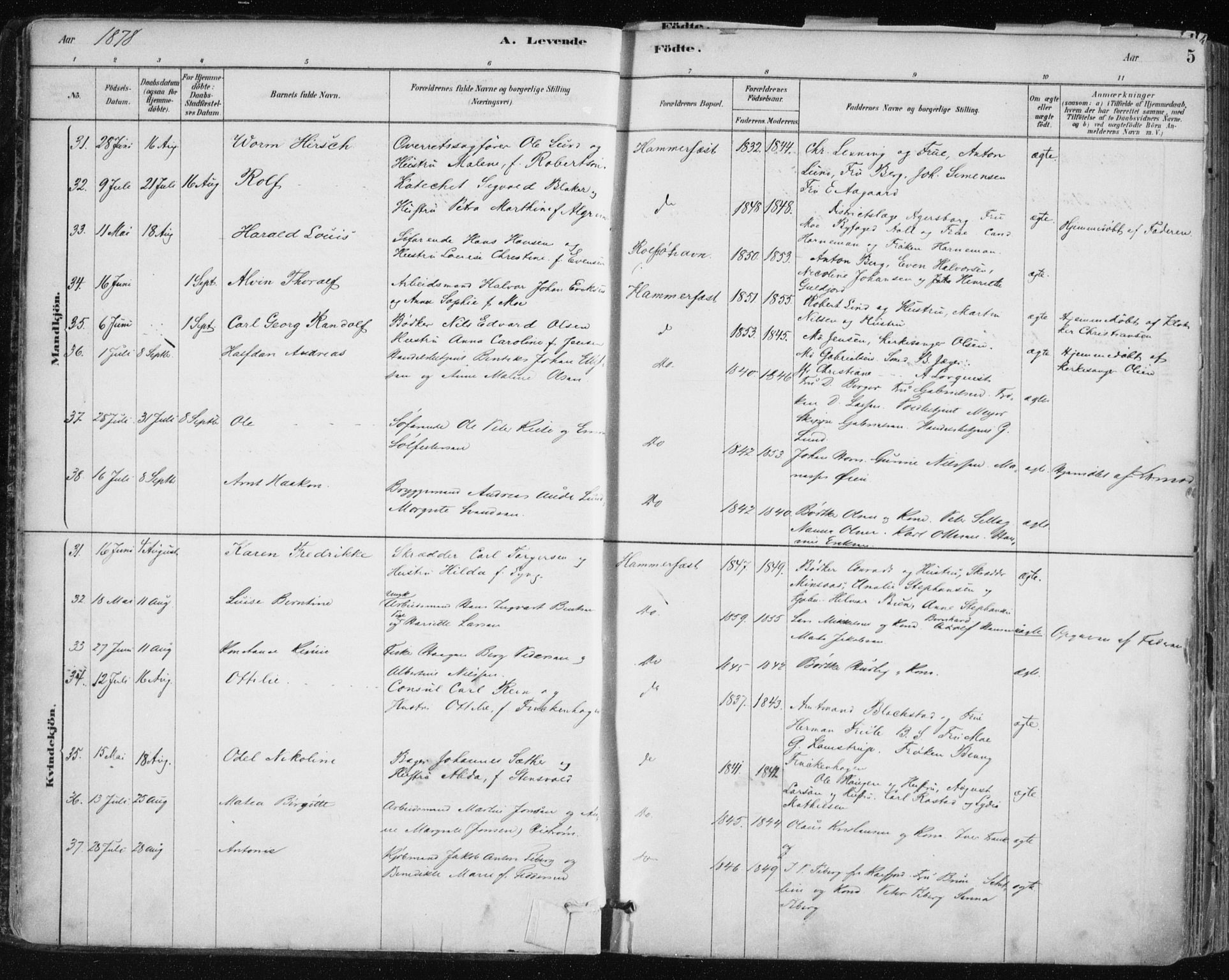 Hammerfest sokneprestkontor, AV/SATØ-S-1347/H/Ha/L0008.kirke: Ministerialbok nr. 8, 1878-1889, s. 5