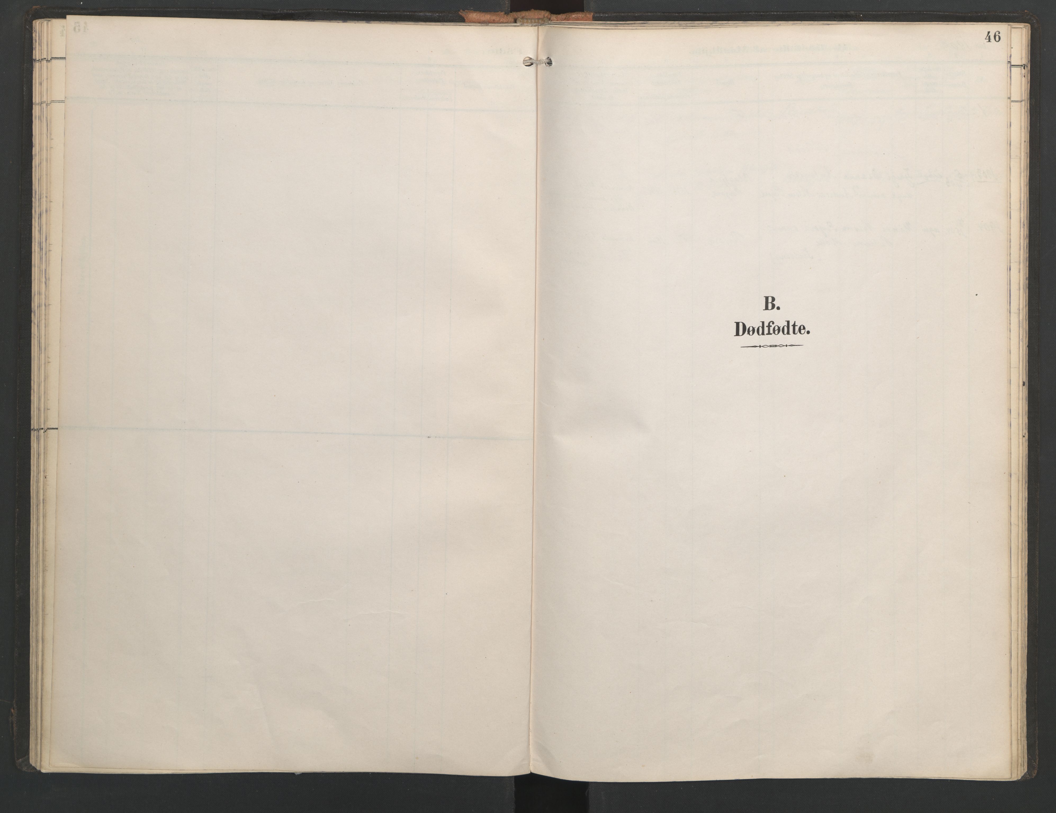 Ministerialprotokoller, klokkerbøker og fødselsregistre - Nordland, AV/SAT-A-1459/821/L0317: Ministerialbok nr. 821A01, 1892-1907, s. 46