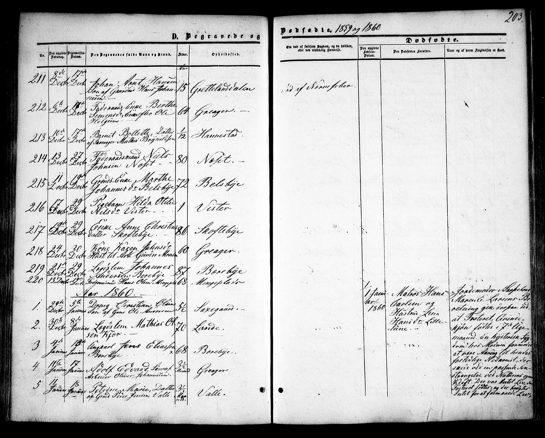 Tune prestekontor Kirkebøker, AV/SAO-A-2007/F/Fa/L0013: Ministerialbok nr. 13, 1859-1863, s. 203