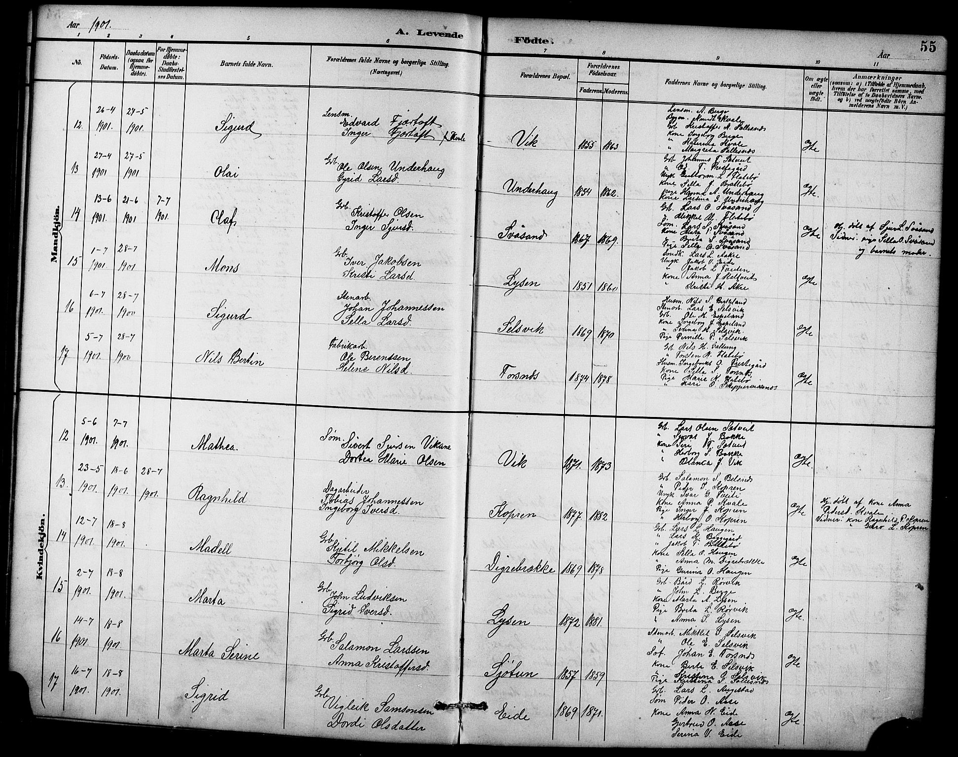 Ullensvang sokneprestembete, AV/SAB-A-78701/H/Hab: Klokkerbok nr. D 1, 1891-1908, s. 55