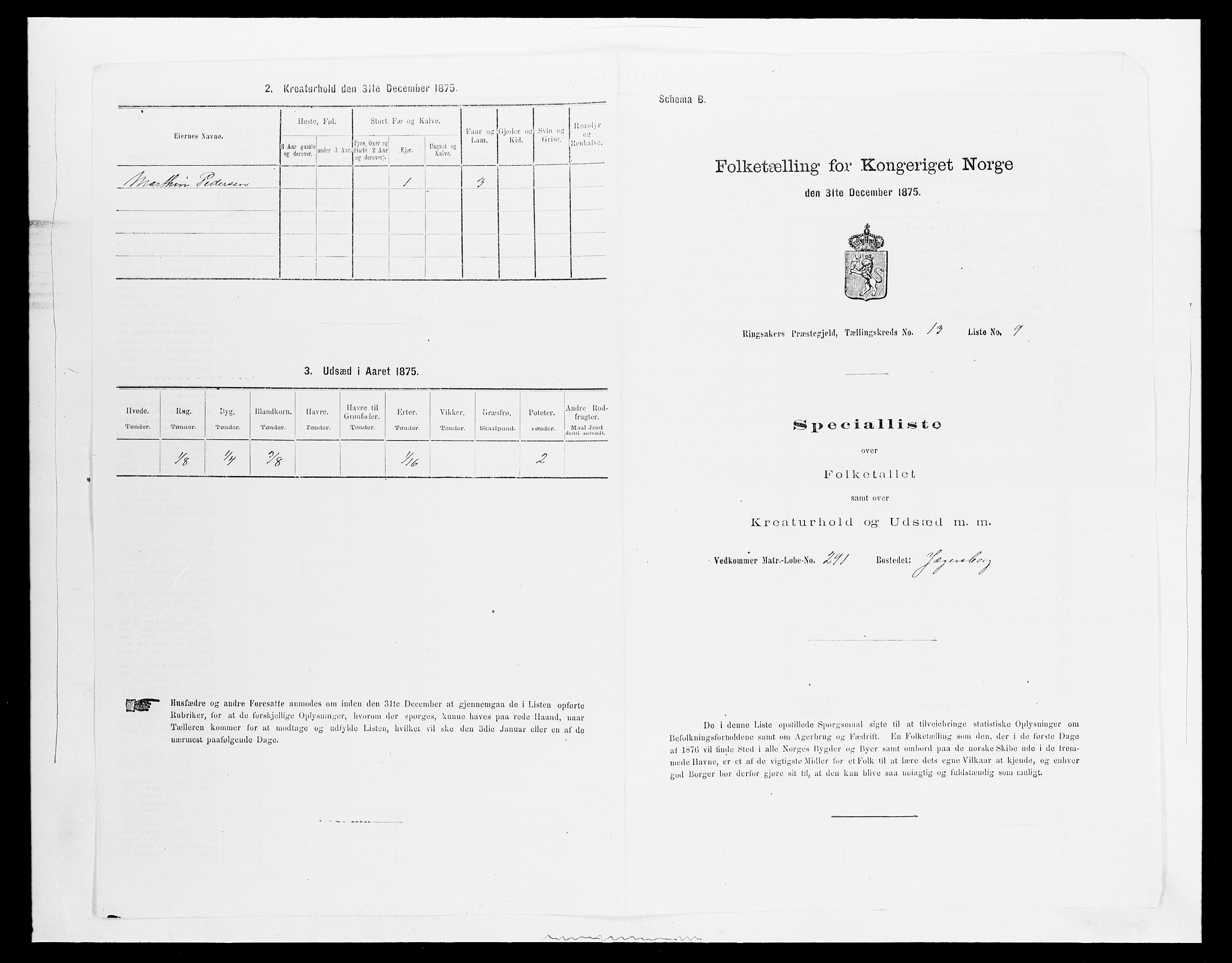 SAH, Folketelling 1875 for 0412P Ringsaker prestegjeld, 1875, s. 2625