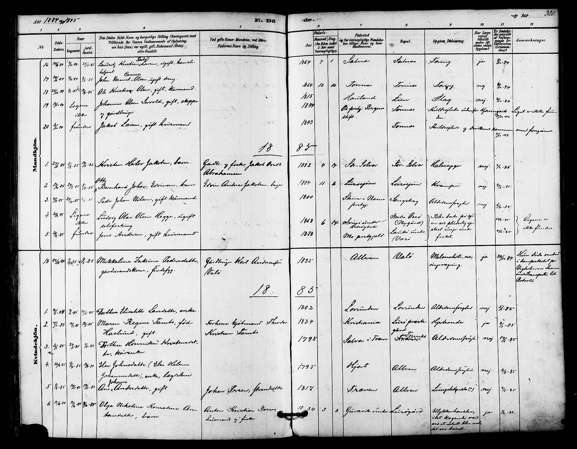 Ministerialprotokoller, klokkerbøker og fødselsregistre - Nordland, SAT/A-1459/839/L0568: Ministerialbok nr. 839A05, 1880-1902, s. 320