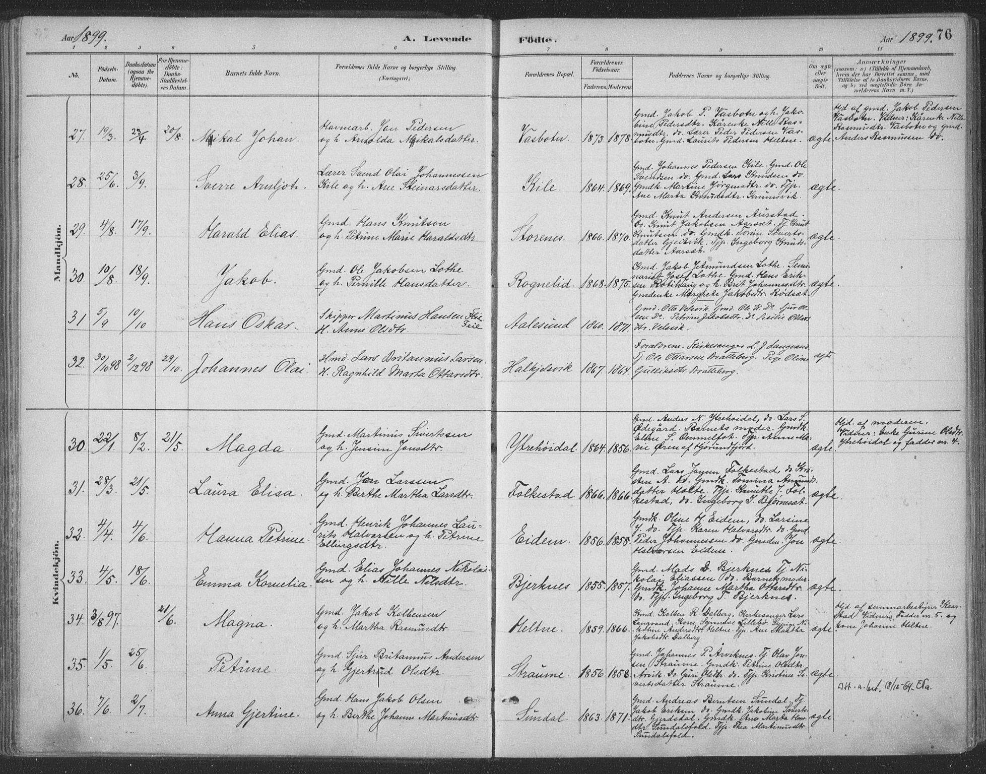 Ministerialprotokoller, klokkerbøker og fødselsregistre - Møre og Romsdal, AV/SAT-A-1454/511/L0142: Ministerialbok nr. 511A09, 1891-1905, s. 76