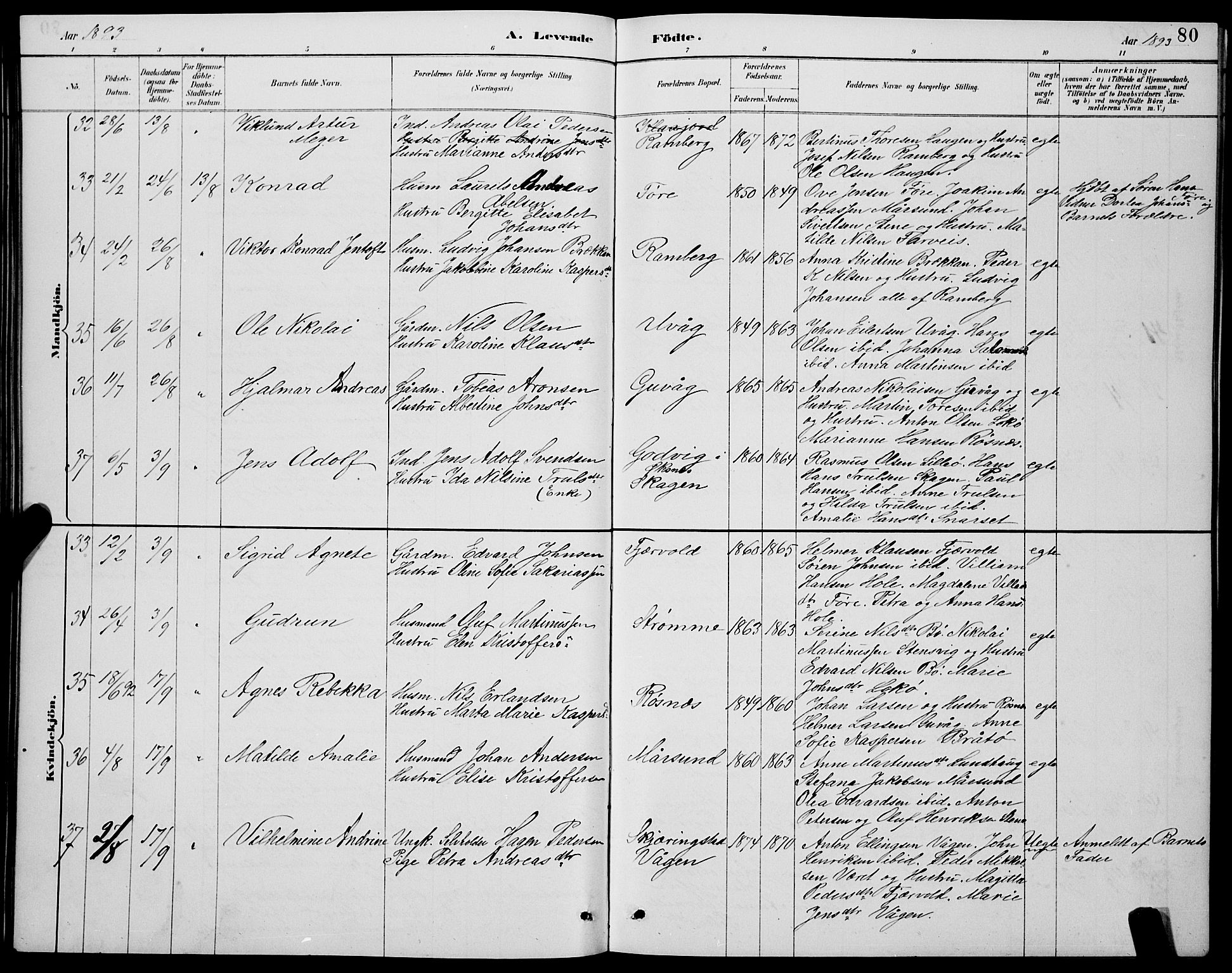 Ministerialprotokoller, klokkerbøker og fødselsregistre - Nordland, AV/SAT-A-1459/891/L1315: Klokkerbok nr. 891C04, 1886-1893, s. 80