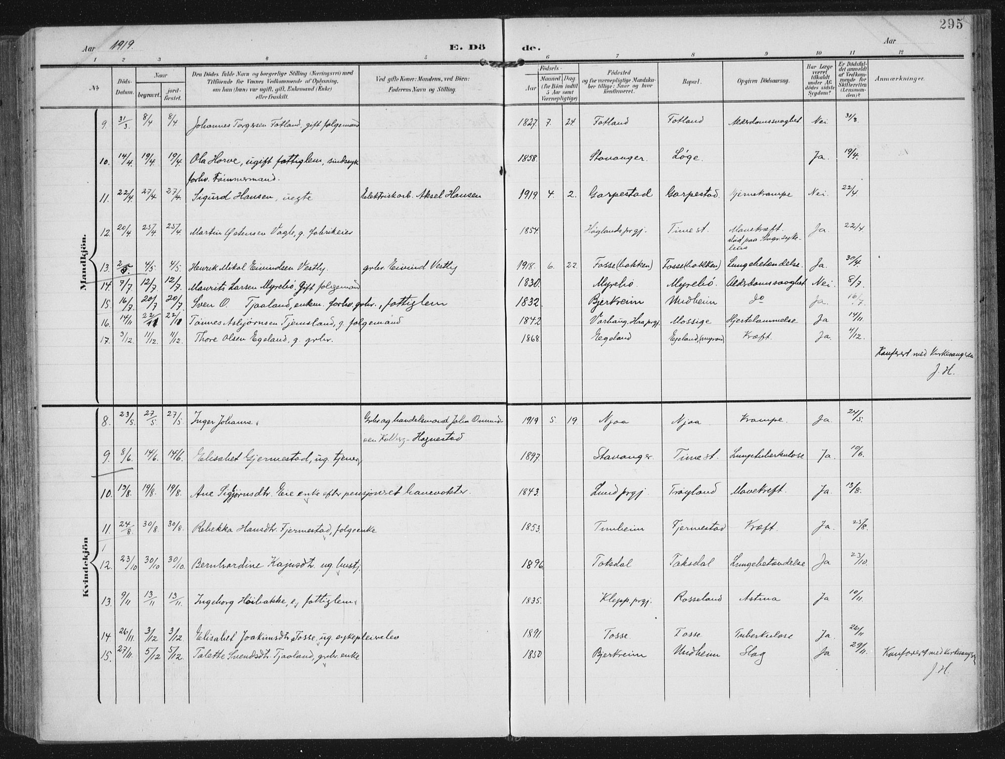 Lye sokneprestkontor, AV/SAST-A-101794/002/A/L0001: Ministerialbok nr. A 12, 1904-1920, s. 295