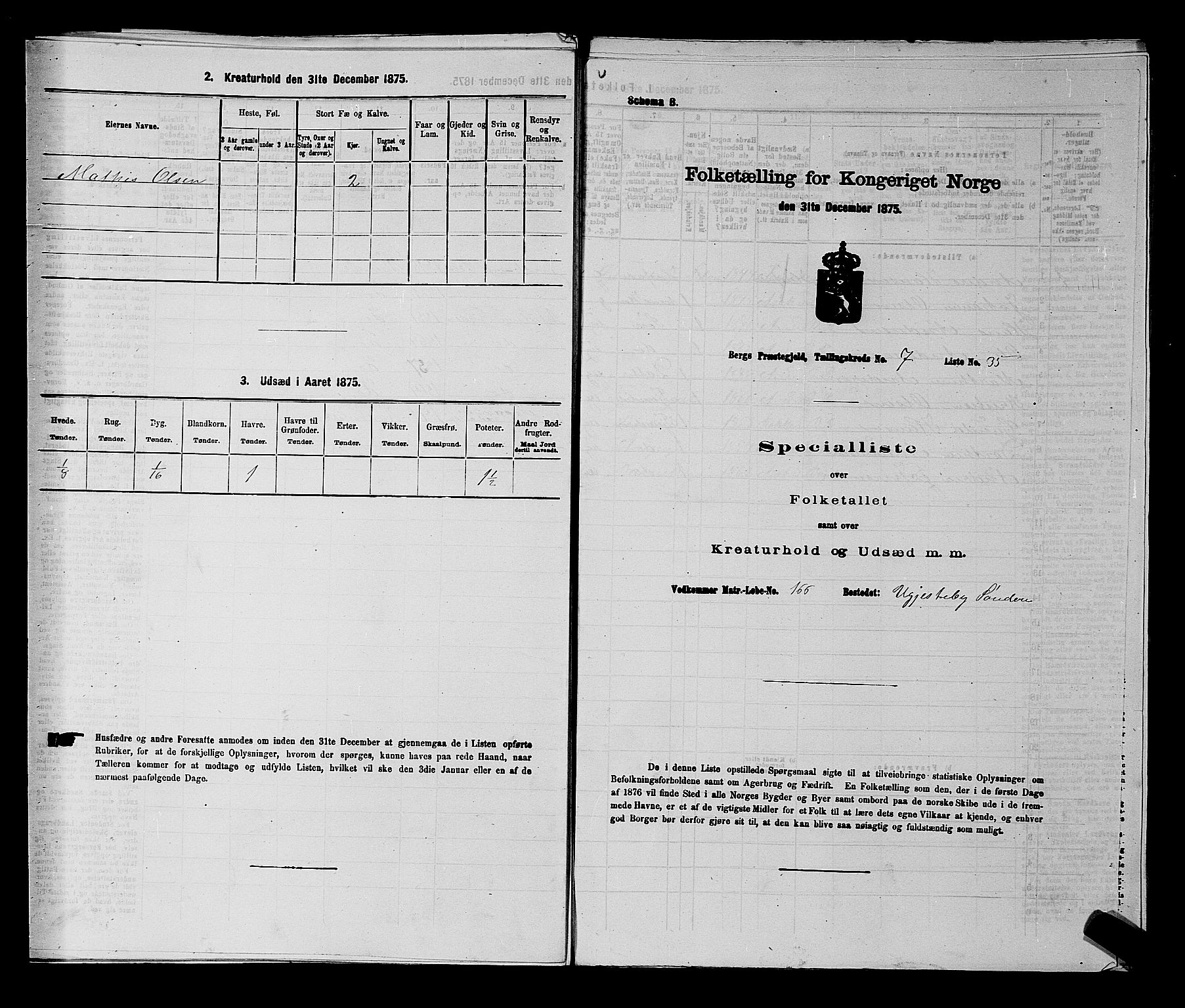 RA, Folketelling 1875 for 0116P Berg prestegjeld, 1875, s. 1111