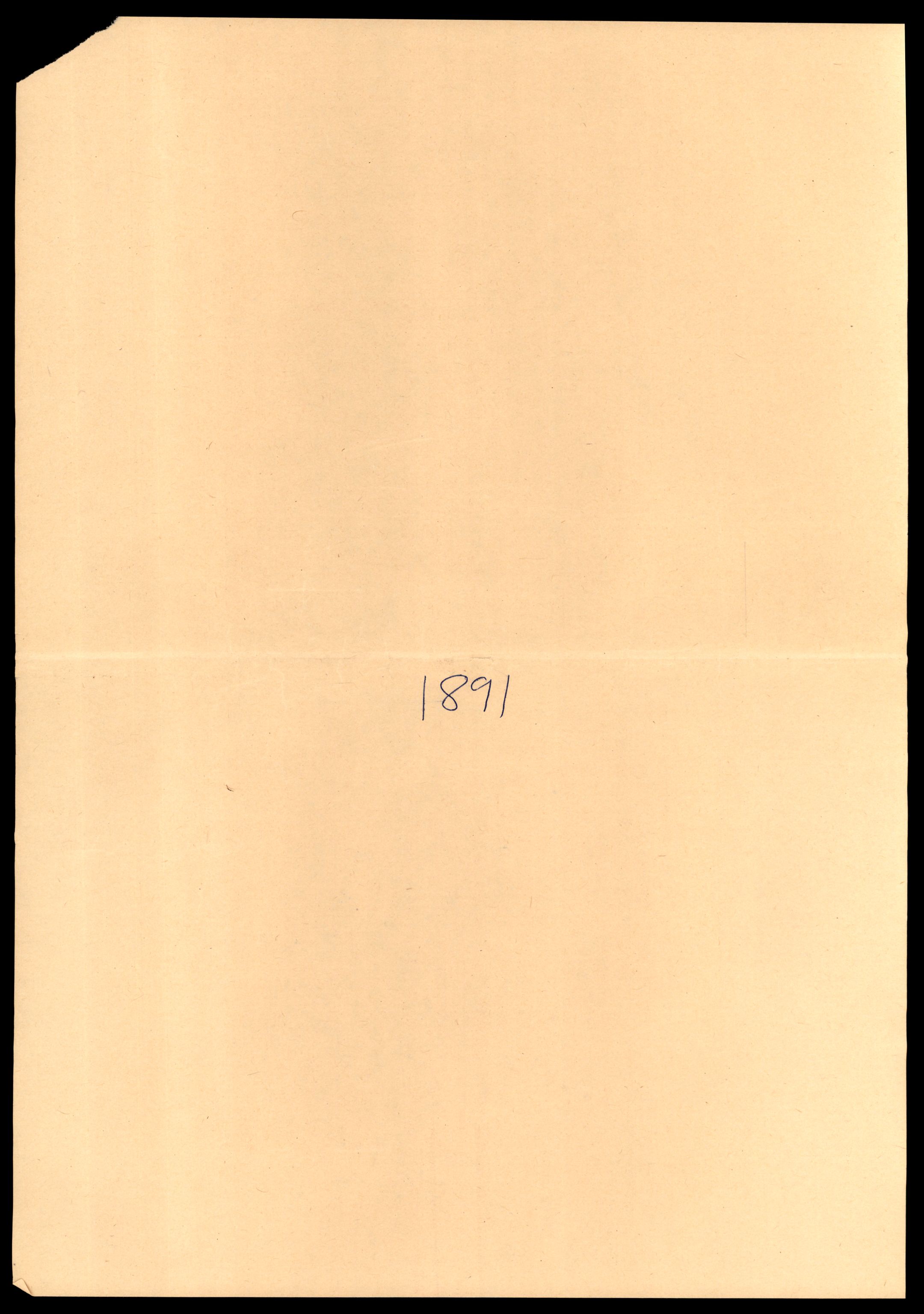 Oppsynssjefen ved Lofotfisket, SAT/A-6224/D/L0178: Lofotfiskernes Selvhjelpskasse, 1880-1906, s. 379