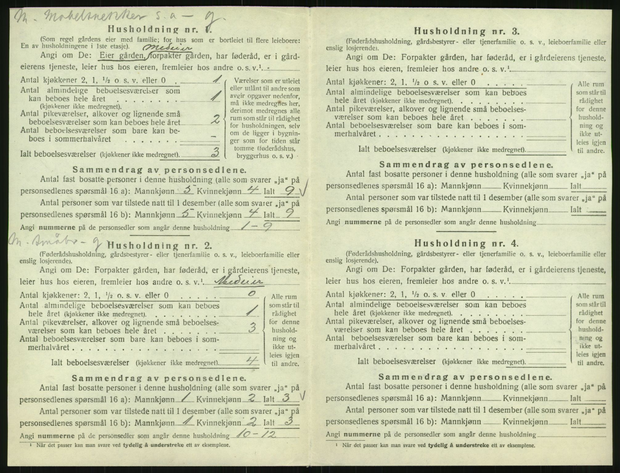 SAT, Folketelling 1920 for 1833 Mo herred, 1920, s. 1021