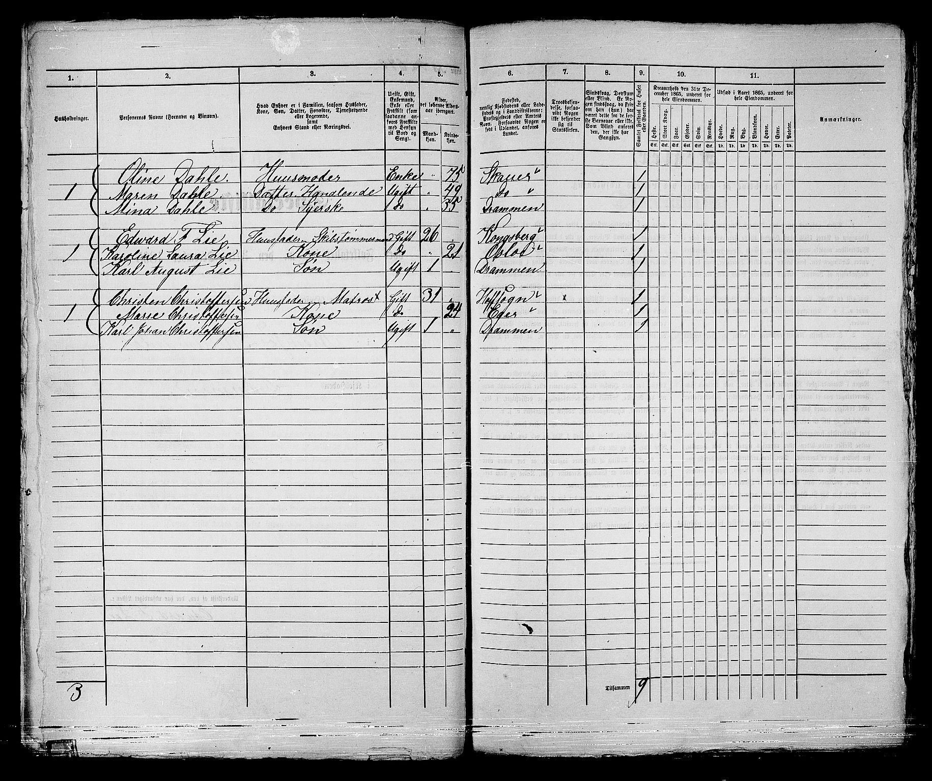 RA, Folketelling 1865 for 0602bP Strømsø prestegjeld i Drammen kjøpstad, 1865, s. 96
