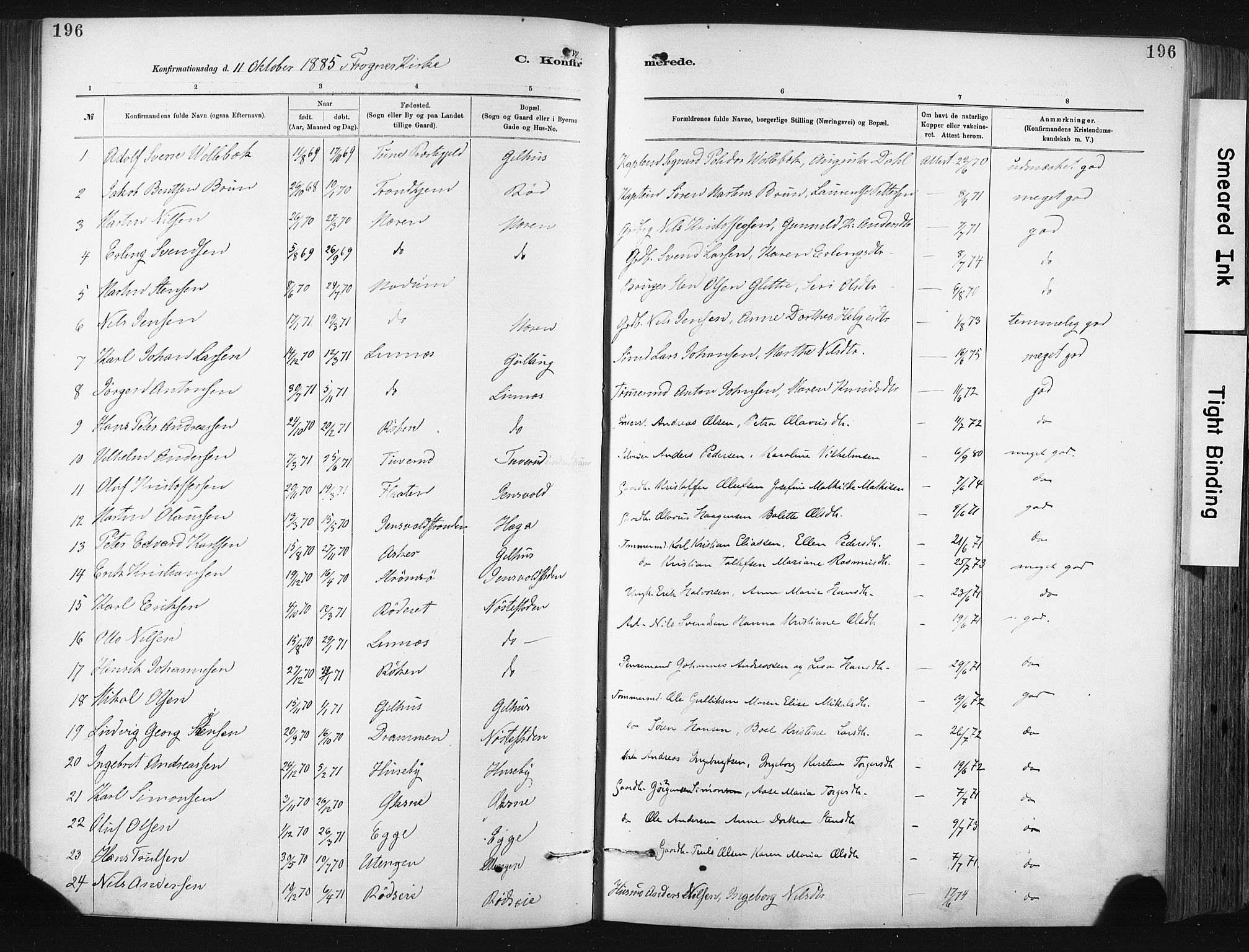 Lier kirkebøker, AV/SAKO-A-230/F/Fa/L0015: Ministerialbok nr. I 15, 1883-1894, s. 196