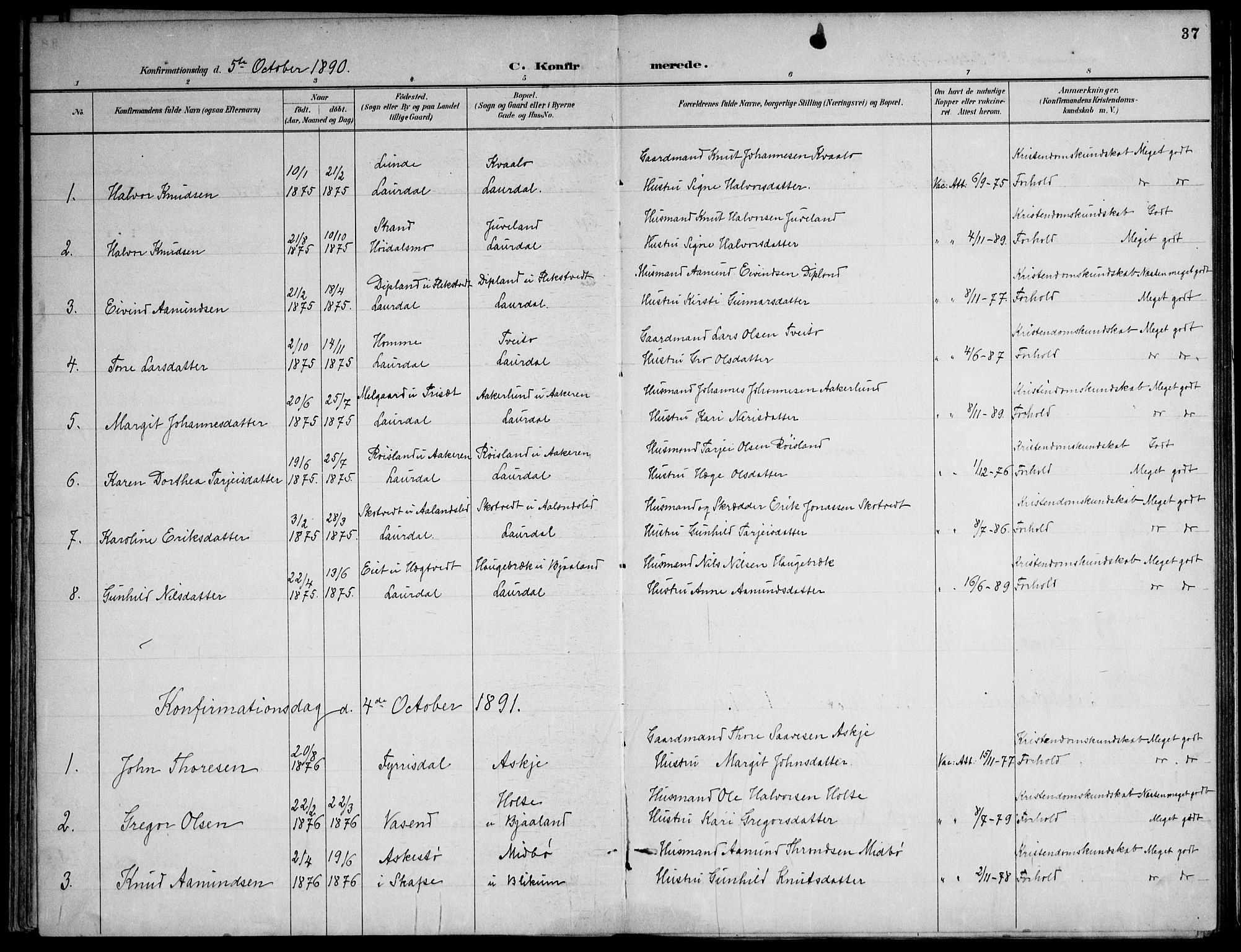 Lårdal kirkebøker, SAKO/A-284/F/Fa/L0007: Ministerialbok nr. I 7, 1887-1906, s. 37