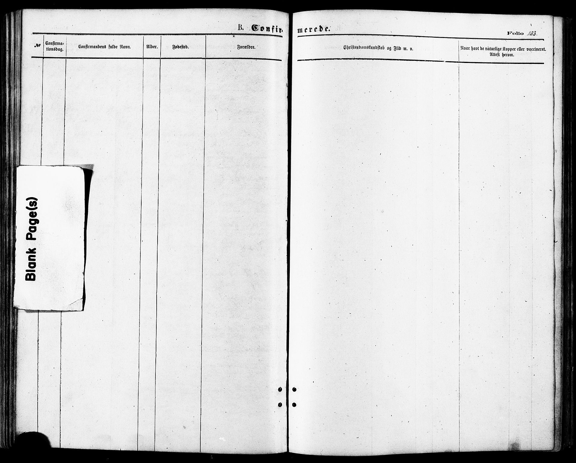 Lenvik sokneprestembete, SATØ/S-1310/H/Ha/Haa/L0010kirke: Ministerialbok nr. 10, 1873-1880, s. 133