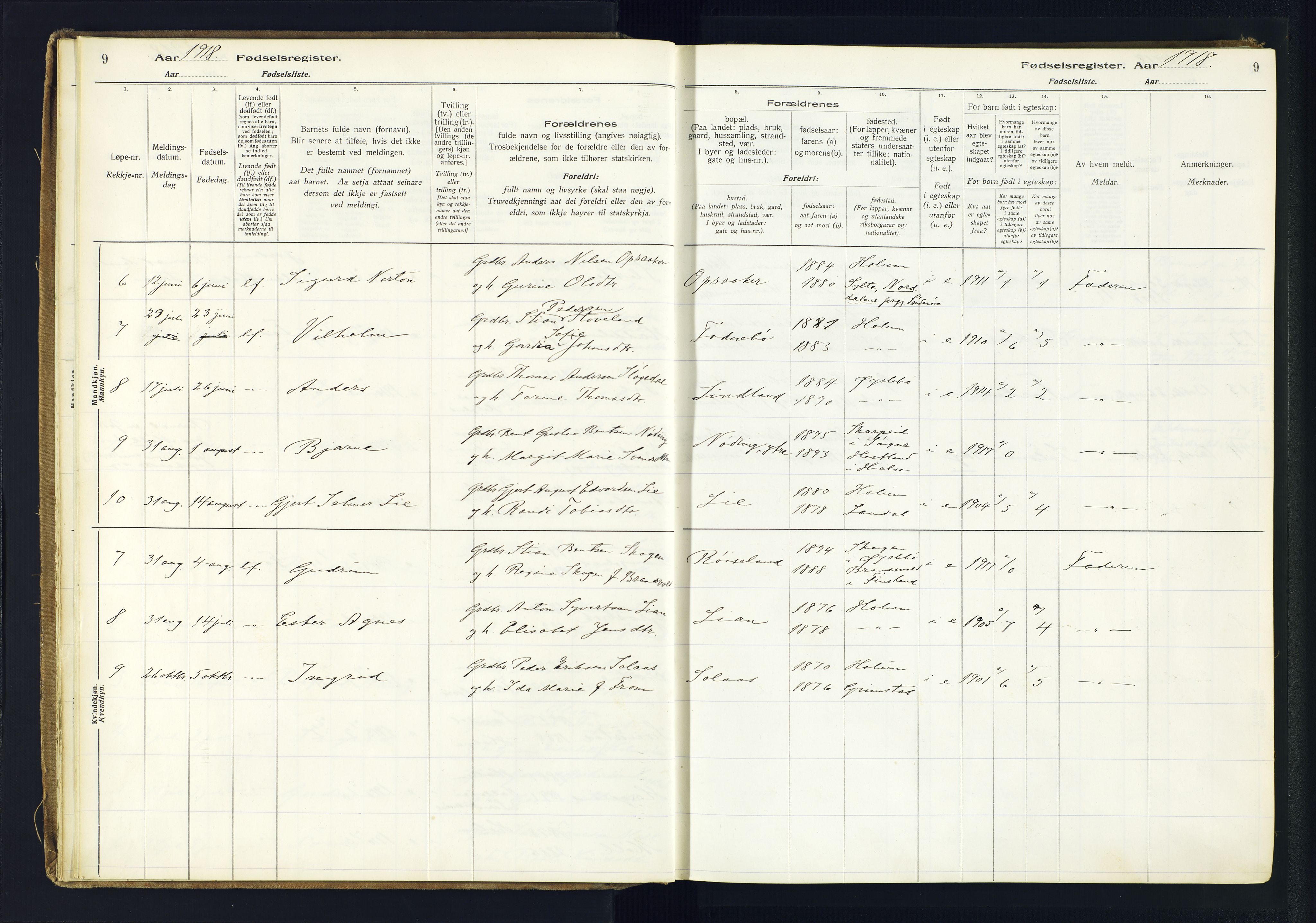 Holum sokneprestkontor, AV/SAK-1111-0022/J/Ja/L0003: Fødselsregister nr. II.6.12, 1916-1982, s. 9