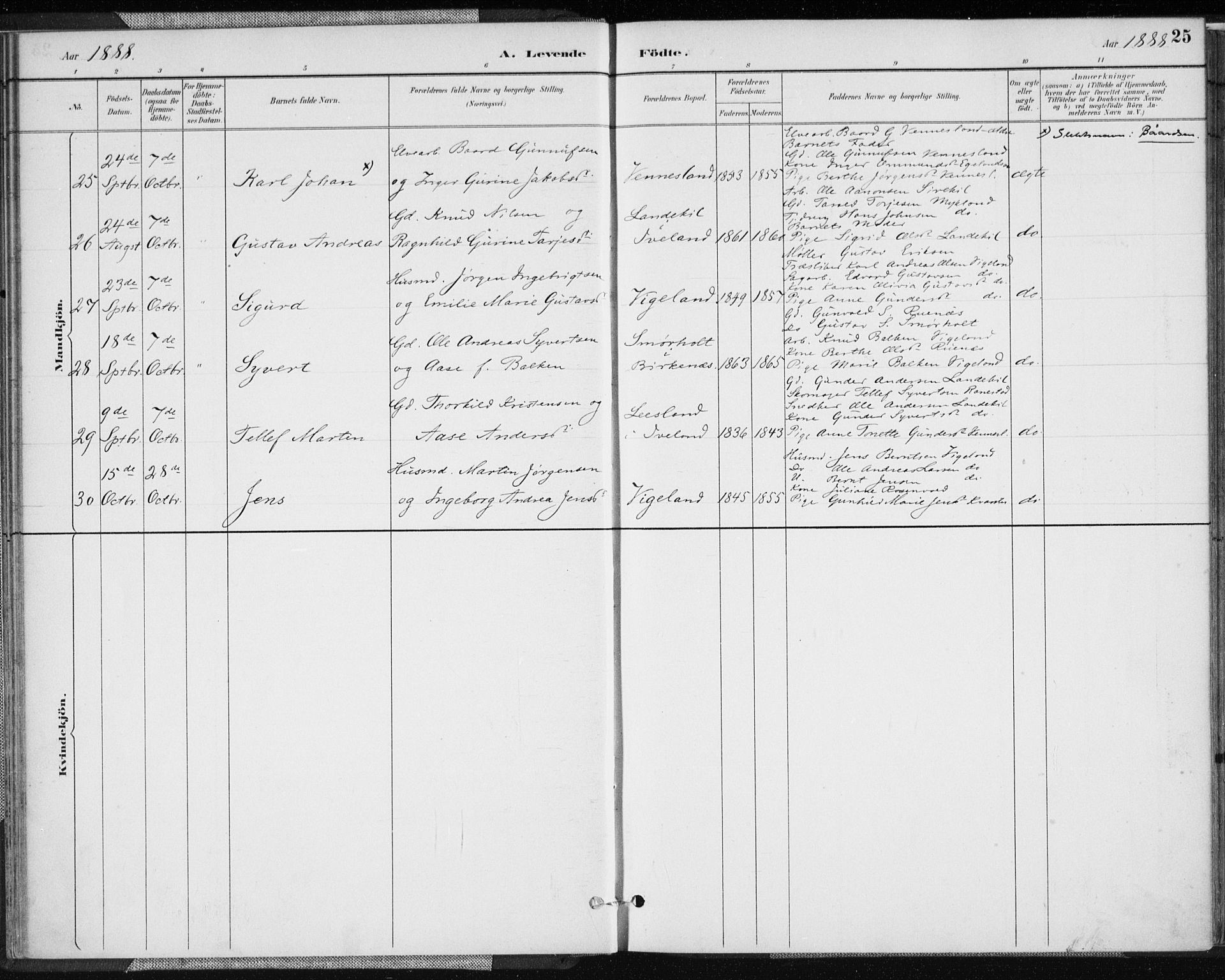 Vennesla sokneprestkontor, AV/SAK-1111-0045/Fa/Fab/L0004: Ministerialbok nr. A 4, 1884-1896, s. 25