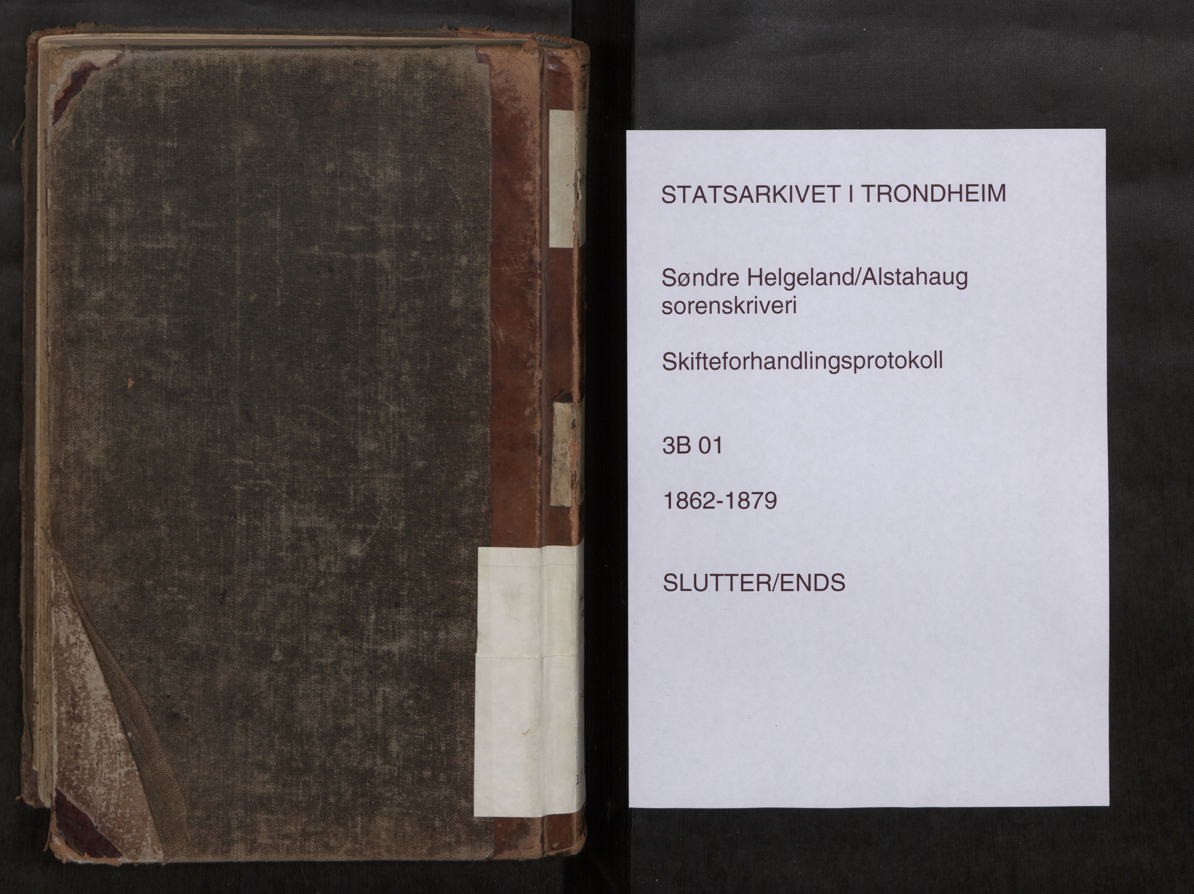 Søndre Helgeland sorenskriveri, SAT/A-4575/1/3/3B/L0001: Skiftebehandlingsprotokoll, 1862-1879, s. 285