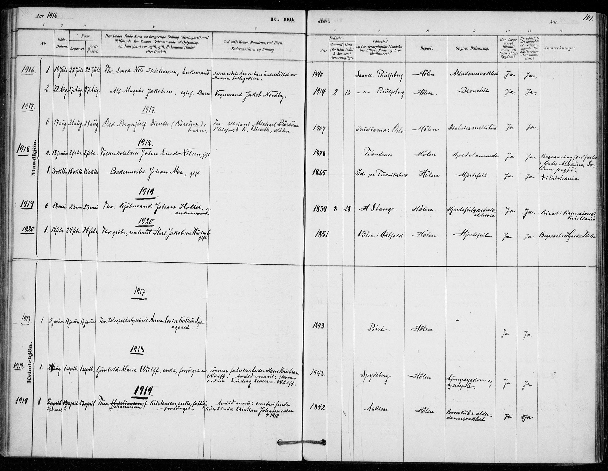 Vestby prestekontor Kirkebøker, SAO/A-10893/F/Fe/L0001: Ministerialbok nr. V 1, 1878-1931, s. 101