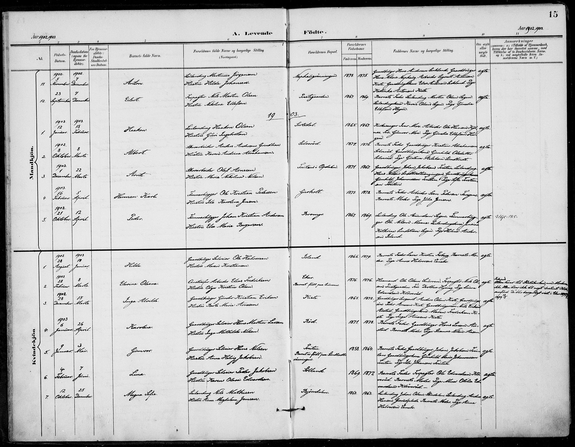 Siljan kirkebøker, AV/SAKO-A-300/F/Fa/L0003: Ministerialbok nr. 3, 1896-1910, s. 15