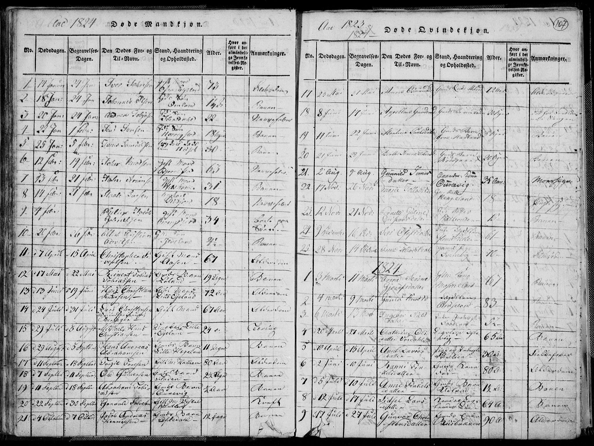 Lyngdal sokneprestkontor, AV/SAK-1111-0029/F/Fa/Fac/L0006: Ministerialbok nr. A 6, 1815-1825, s. 107