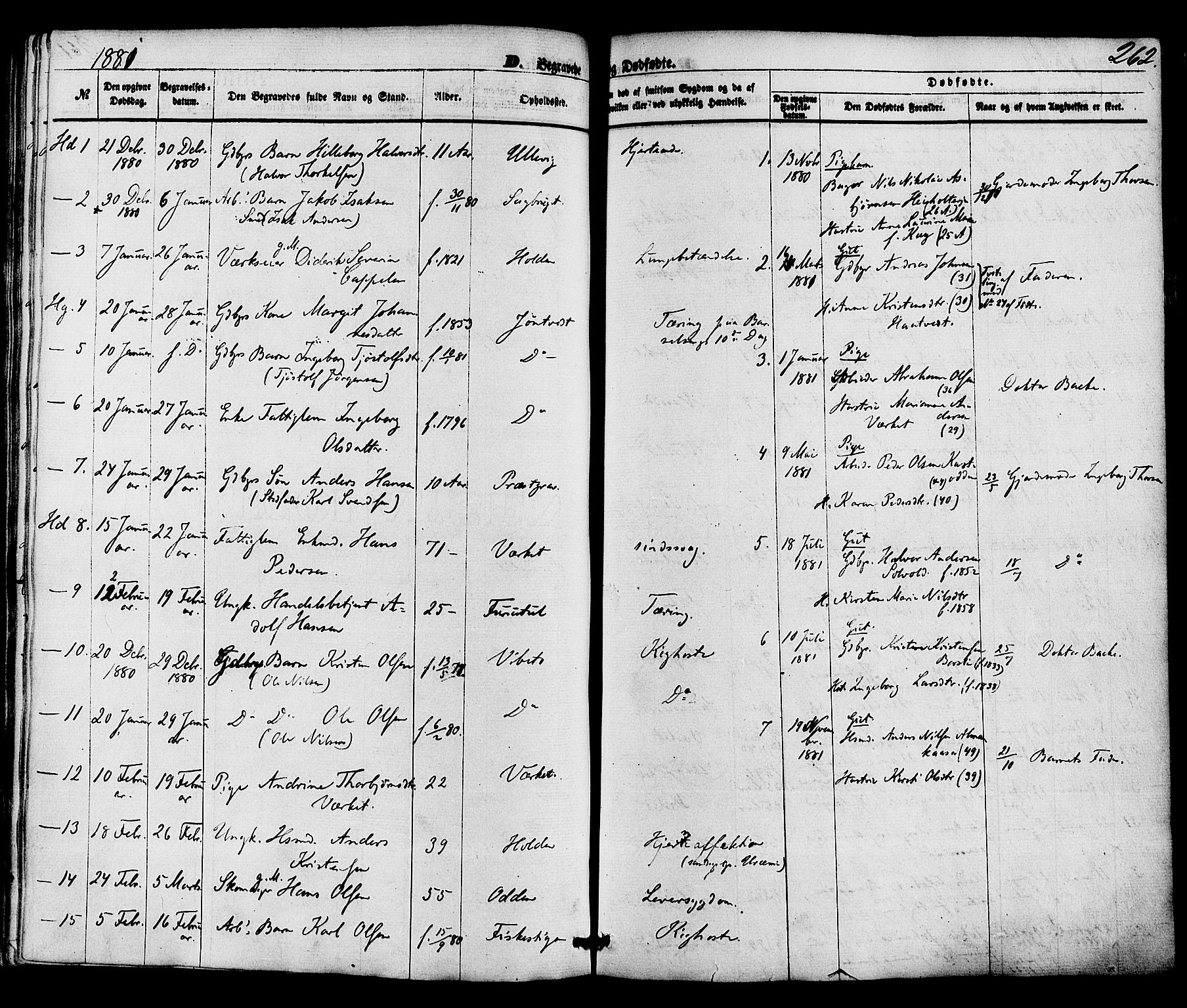 Holla kirkebøker, AV/SAKO-A-272/F/Fa/L0007: Ministerialbok nr. 7, 1869-1881, s. 262