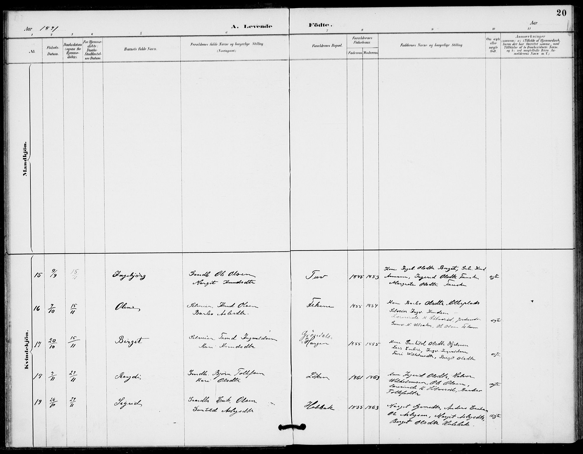 Gol kirkebøker, AV/SAKO-A-226/F/Fb/L0001: Ministerialbok nr. II 1, 1887-1900, s. 20