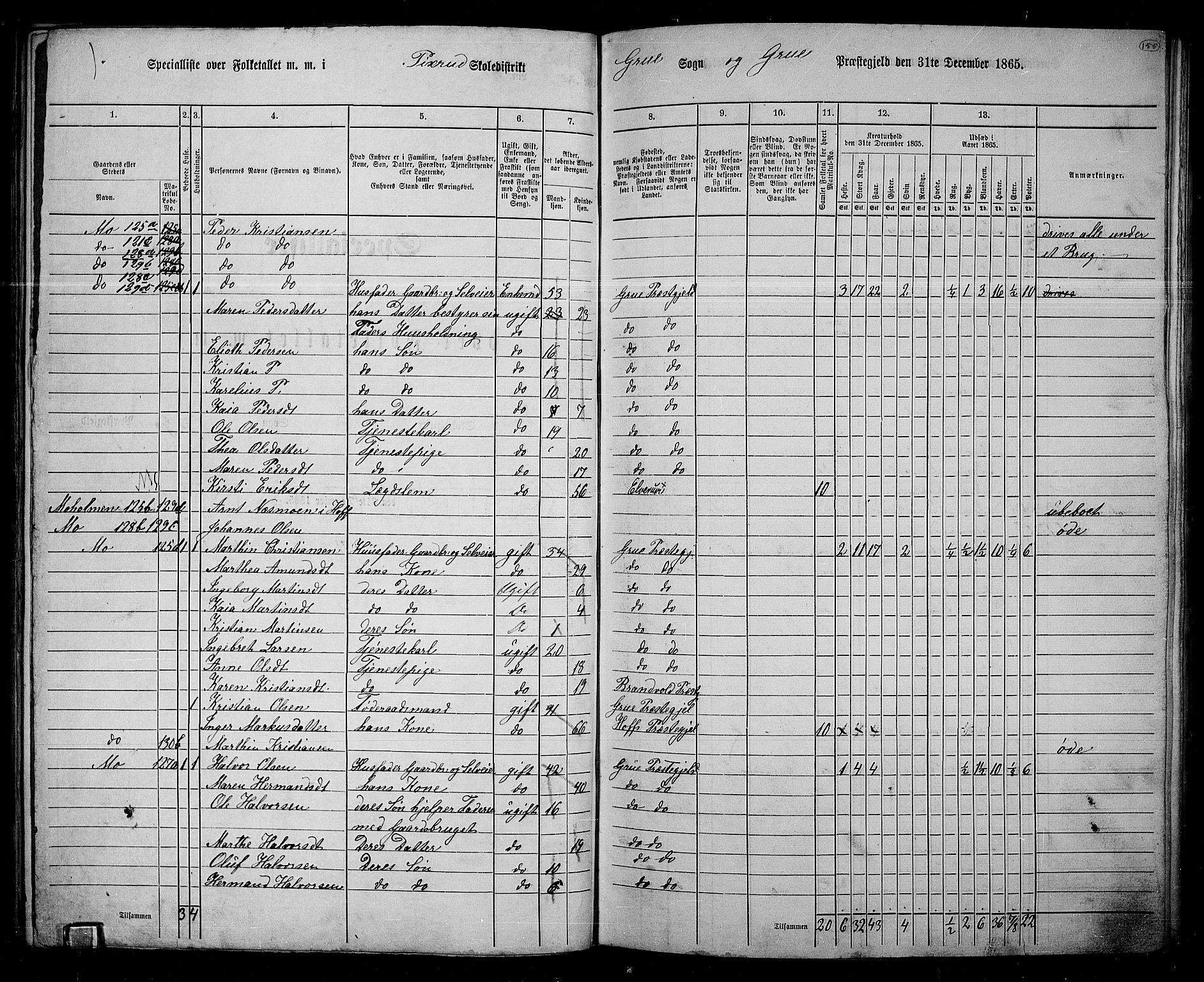RA, Folketelling 1865 for 0423P Grue prestegjeld, 1865, s. 134