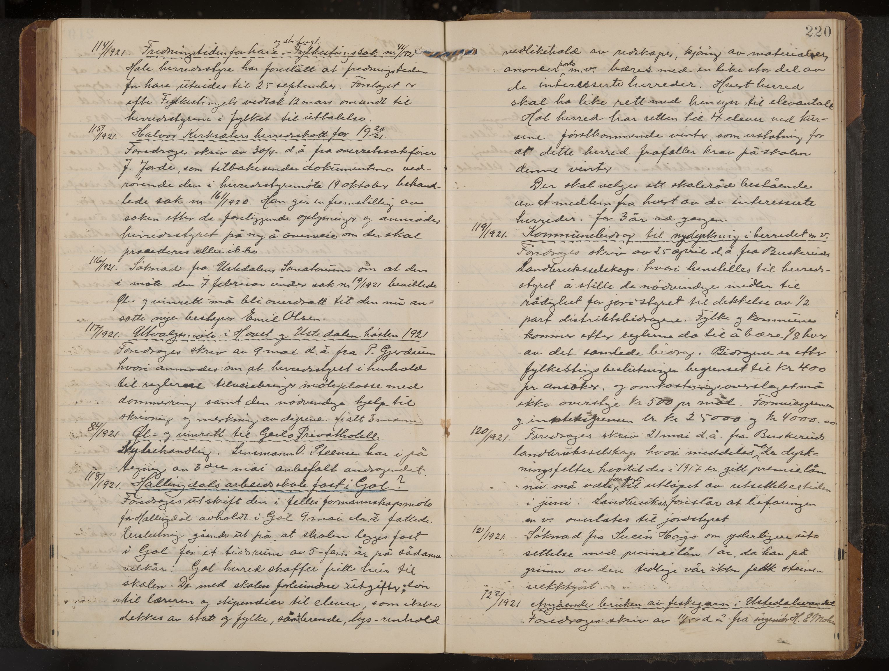 Hol formannskap og sentraladministrasjon, IKAK/0620021-1/A/L0006: Møtebok, 1916-1922, s. 220