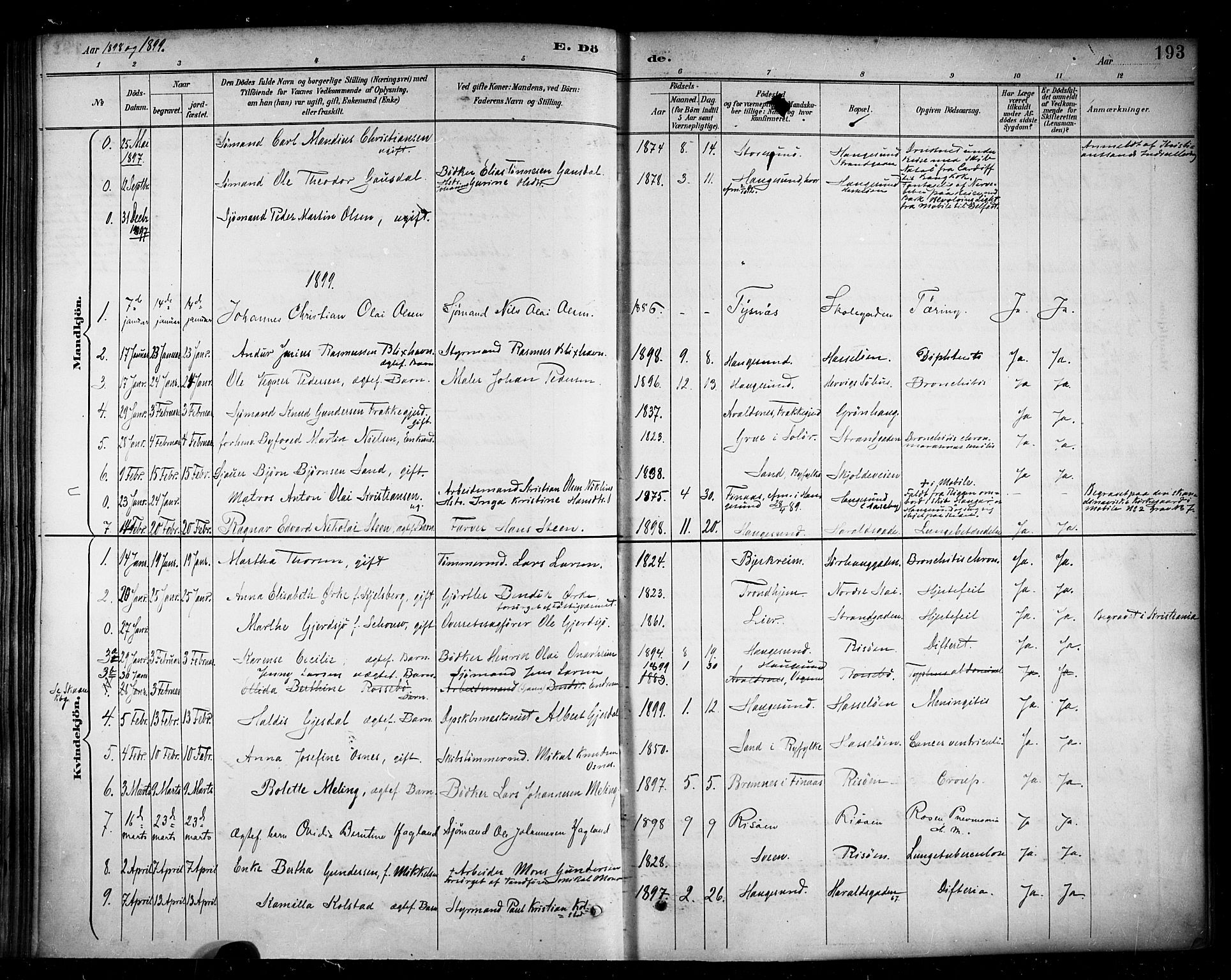 Haugesund sokneprestkontor, AV/SAST-A -101863/H/Ha/Haa/L0005: Ministerialbok nr. A 5, 1891-1903, s. 193