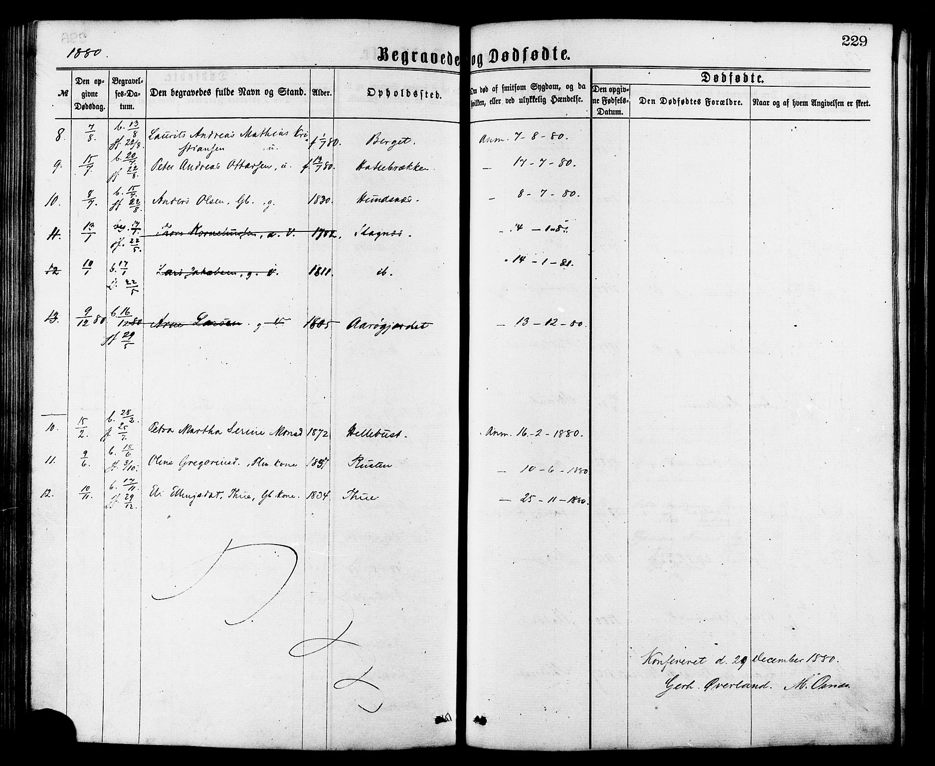 Ministerialprotokoller, klokkerbøker og fødselsregistre - Møre og Romsdal, AV/SAT-A-1454/501/L0007: Ministerialbok nr. 501A07, 1868-1884, s. 229