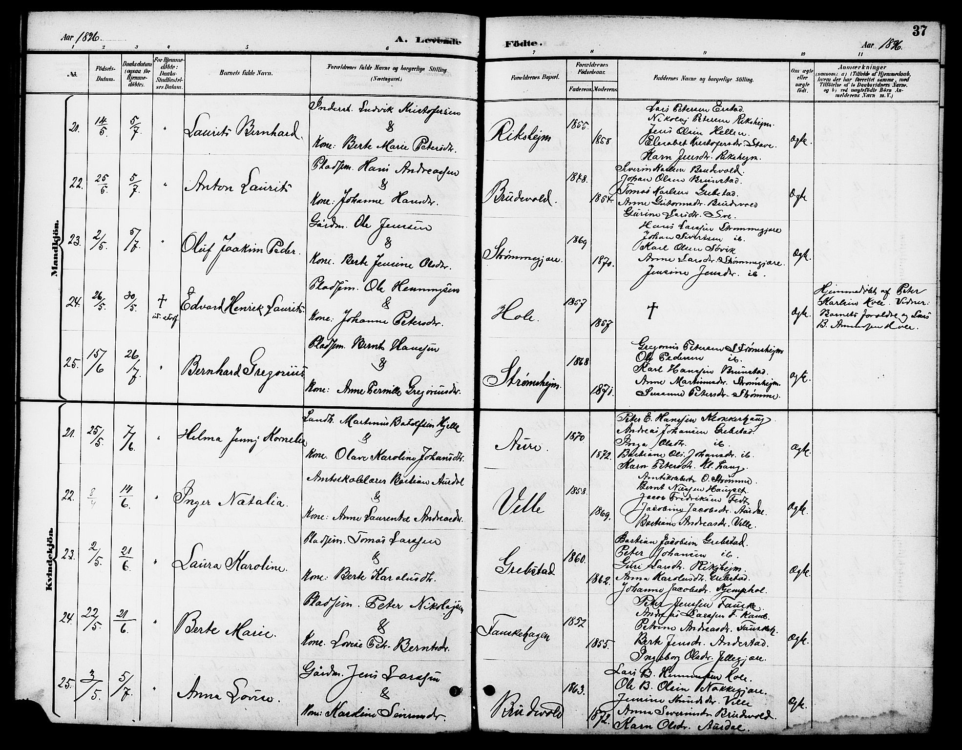 Ministerialprotokoller, klokkerbøker og fødselsregistre - Møre og Romsdal, AV/SAT-A-1454/523/L0340: Klokkerbok nr. 523C03, 1892-1902, s. 37