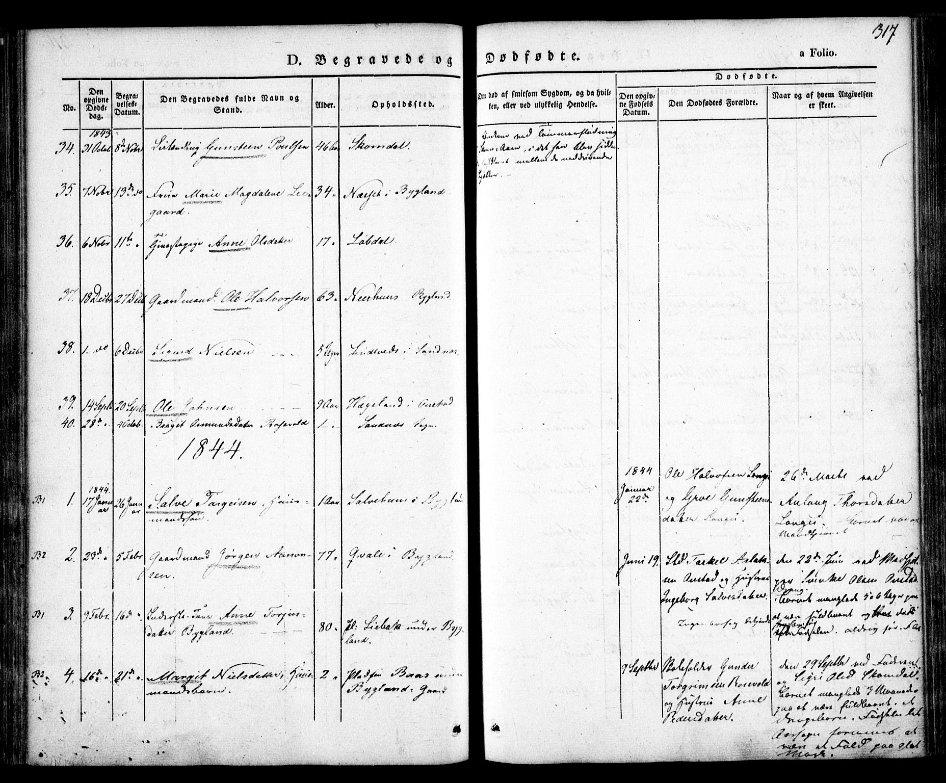 Bygland sokneprestkontor, AV/SAK-1111-0006/F/Fa/Fab/L0004: Ministerialbok nr. A 4, 1842-1858, s. 317