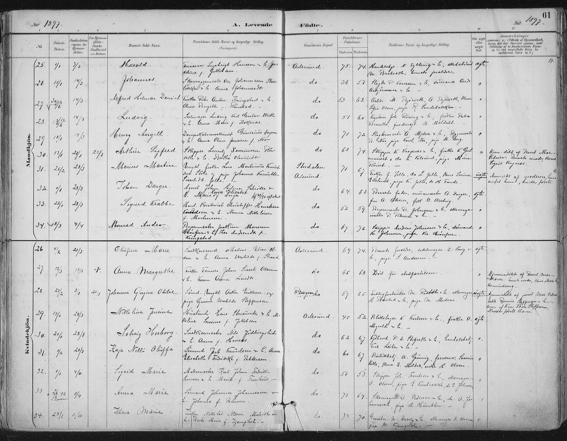 Ministerialprotokoller, klokkerbøker og fødselsregistre - Møre og Romsdal, AV/SAT-A-1454/529/L0456: Ministerialbok nr. 529A06, 1894-1906, s. 61