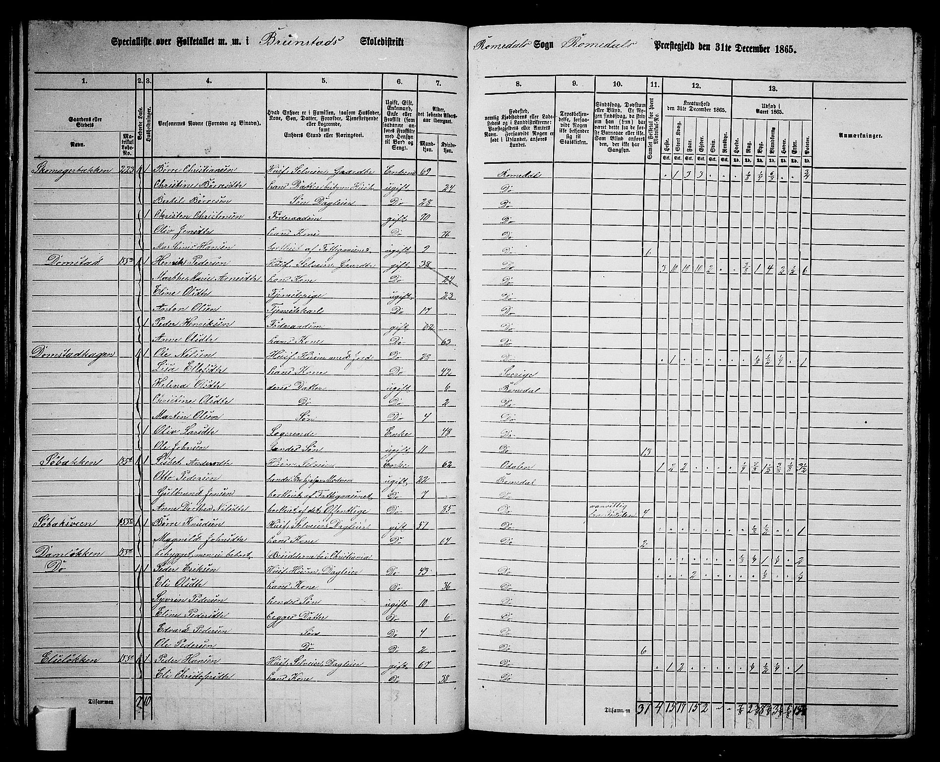 RA, Folketelling 1865 for 0416P Romedal prestegjeld, 1865, s. 100