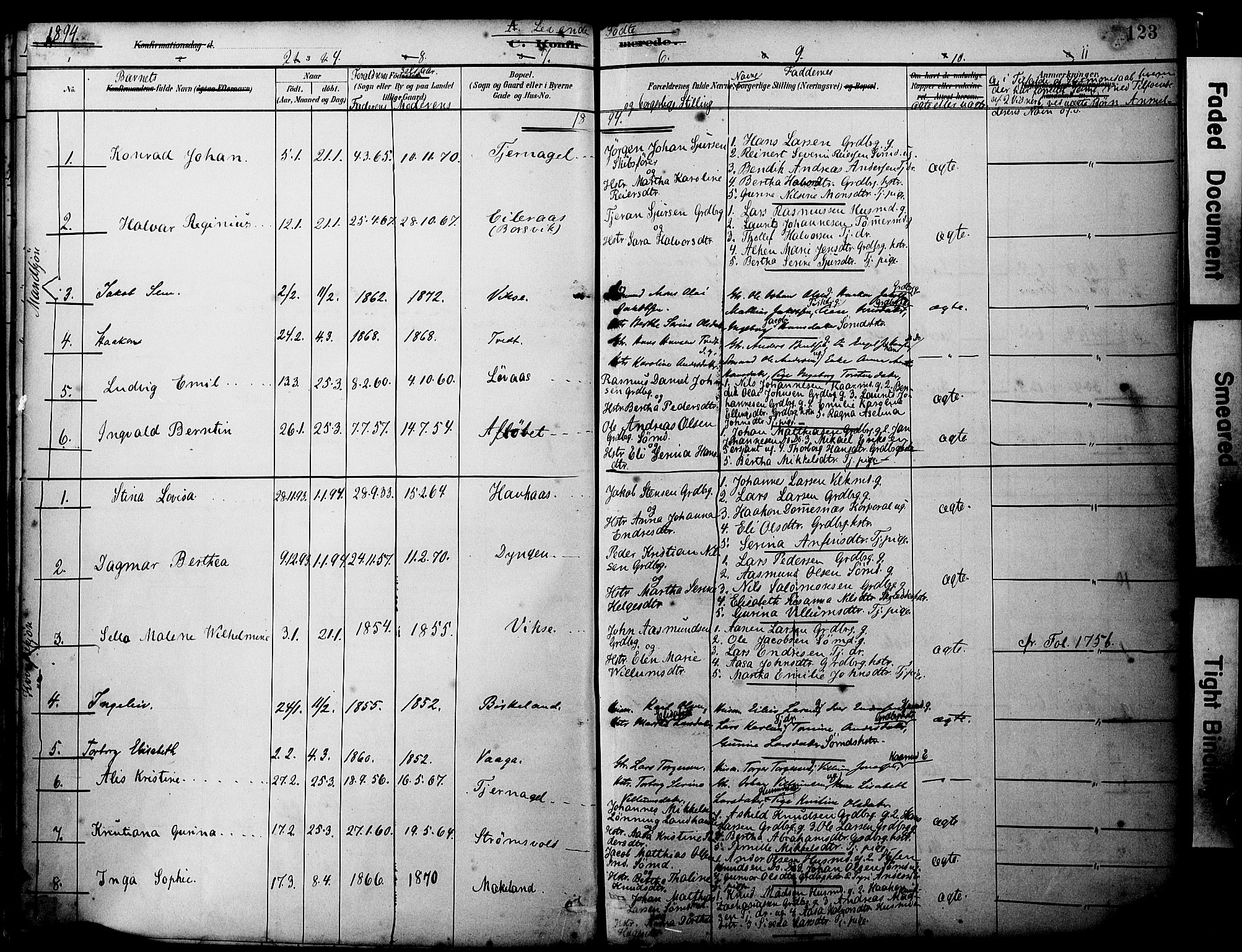 Sveio Sokneprestembete, AV/SAB-A-78501/H/Haa: Ministerialbok nr. B 2, 1883-1894, s. 123