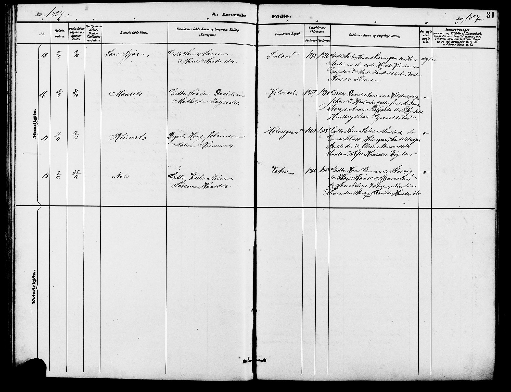 Holum sokneprestkontor, AV/SAK-1111-0022/F/Fb/Fba/L0005: Klokkerbok nr. B 5, 1891-1909, s. 31