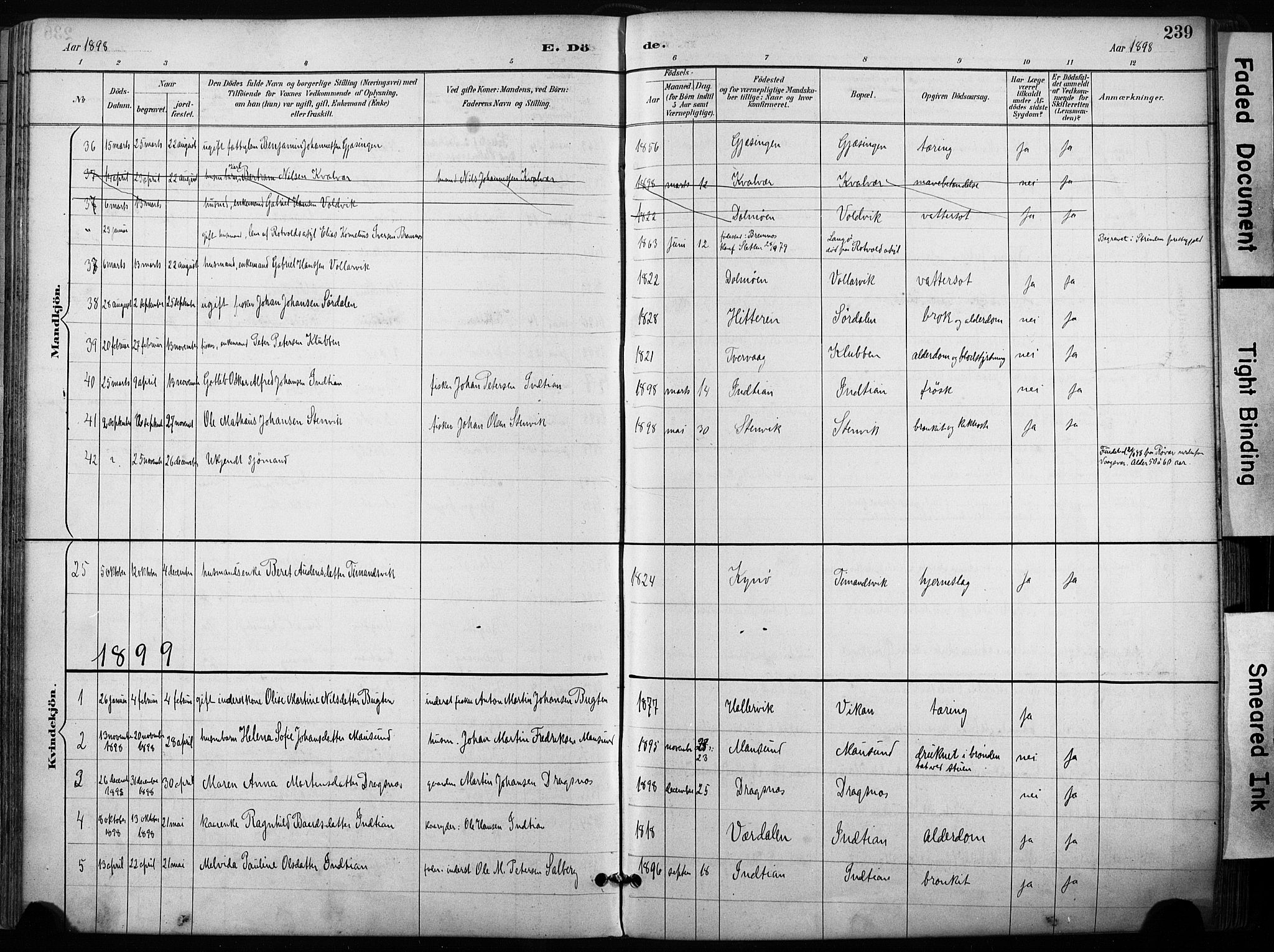 Ministerialprotokoller, klokkerbøker og fødselsregistre - Sør-Trøndelag, AV/SAT-A-1456/640/L0579: Ministerialbok nr. 640A04, 1889-1902, s. 239
