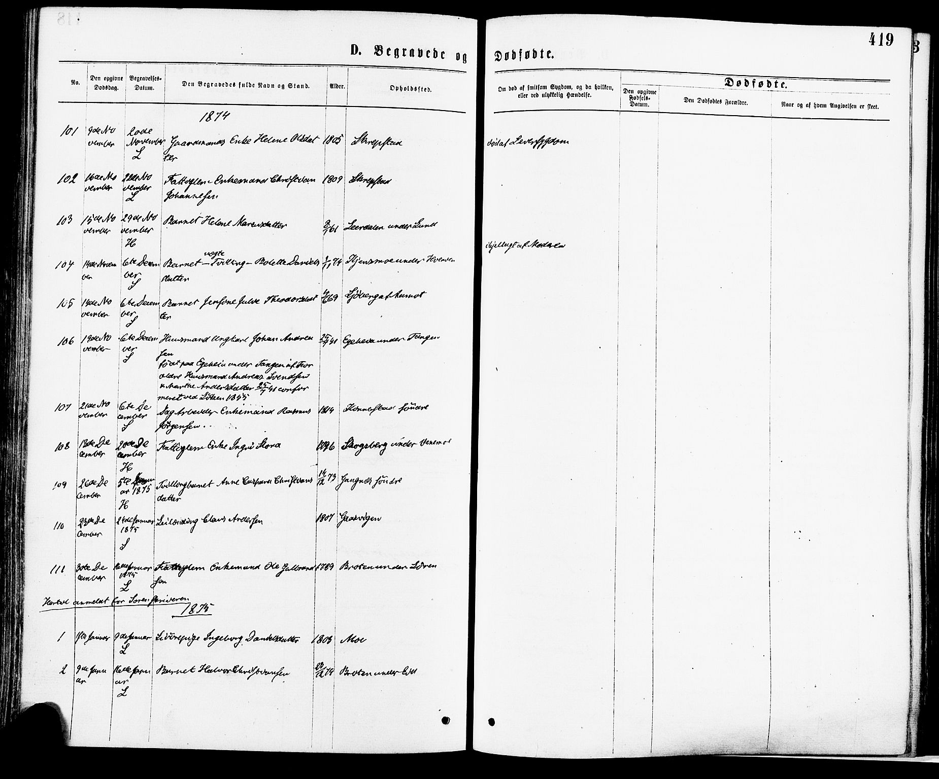 Høland prestekontor Kirkebøker, AV/SAO-A-10346a/F/Fa/L0012.a: Ministerialbok nr. I 12A, 1869-1879, s. 419