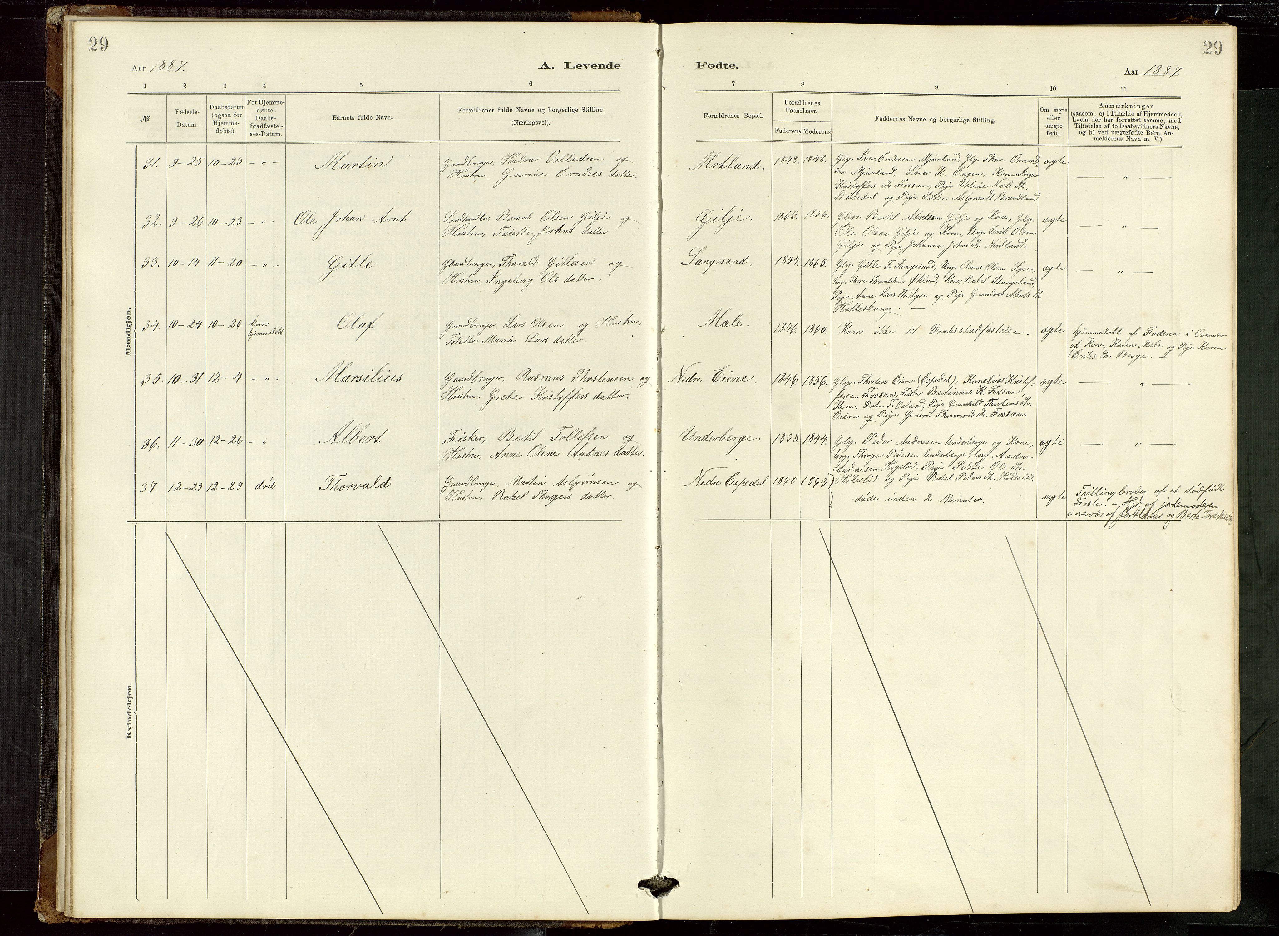 Høgsfjord sokneprestkontor, AV/SAST-A-101624/H/Ha/Hab/L0009: Klokkerbok nr. B 9, 1883-1920, s. 29