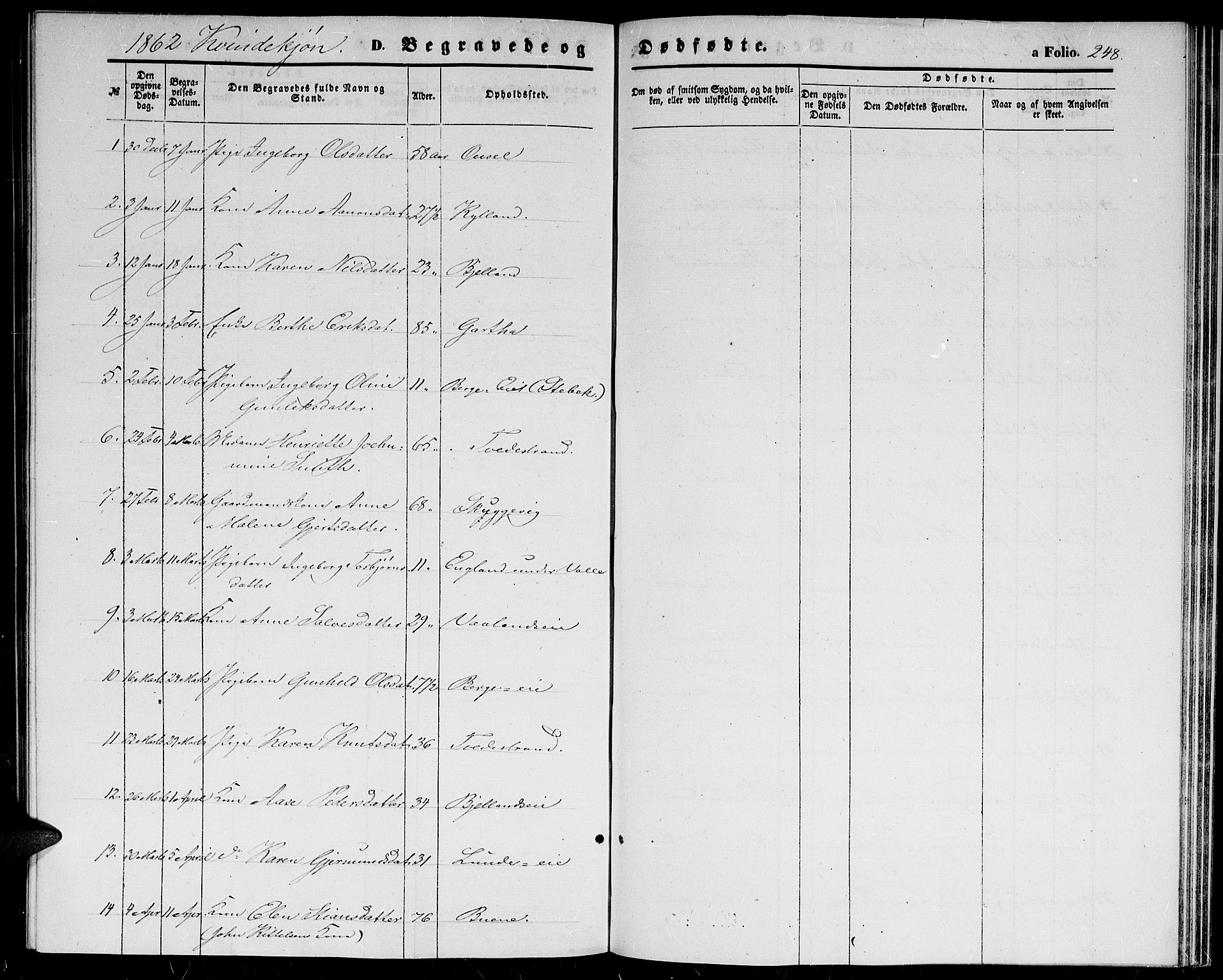 Holt sokneprestkontor, AV/SAK-1111-0021/F/Fb/L0008: Klokkerbok nr. B 8, 1858-1871, s. 248