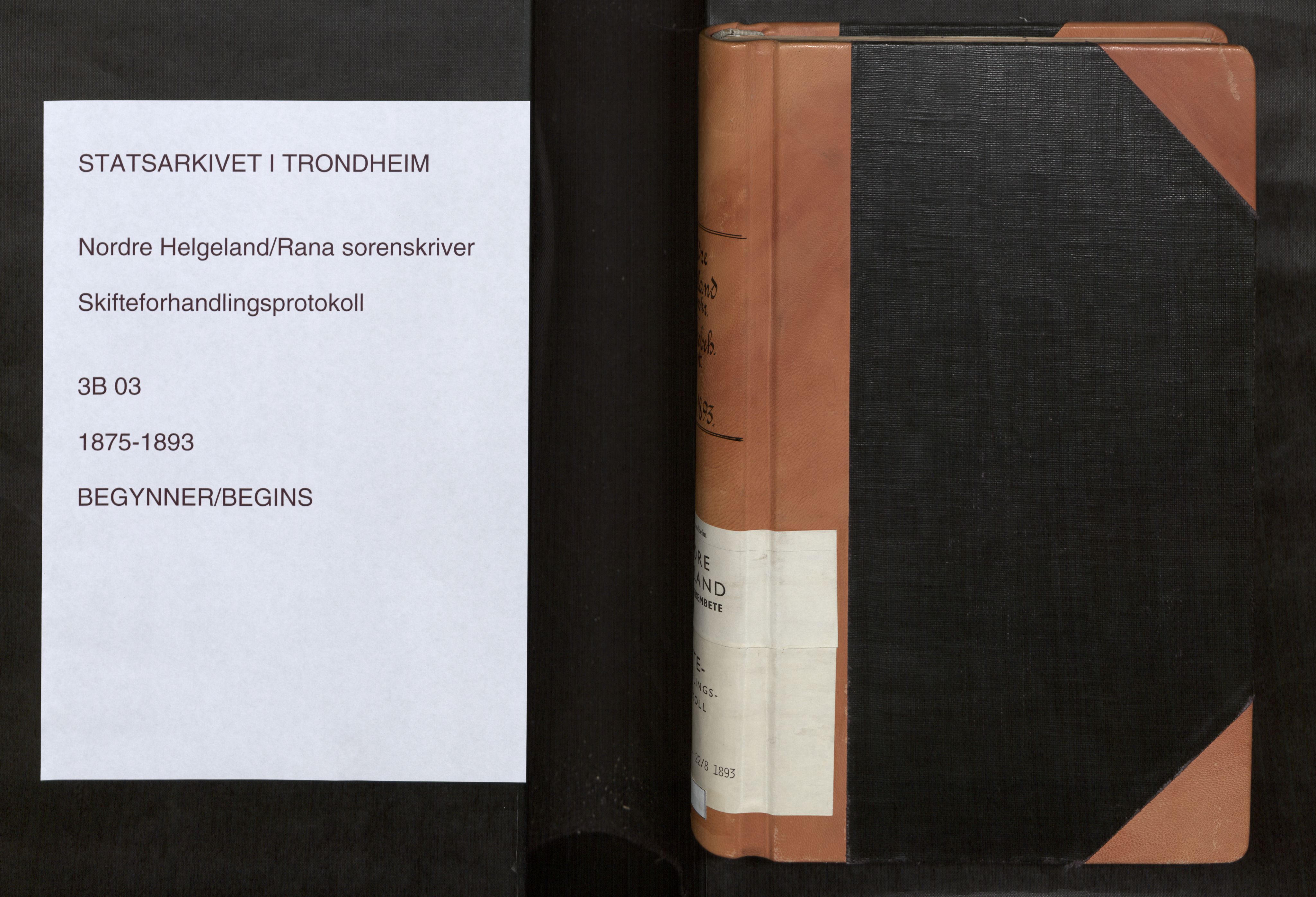 Rana sorenskriveri , AV/SAT-A-1108/1/3/3B/L0003: Skiftebehandlingsprotokoll, 1875-1893
