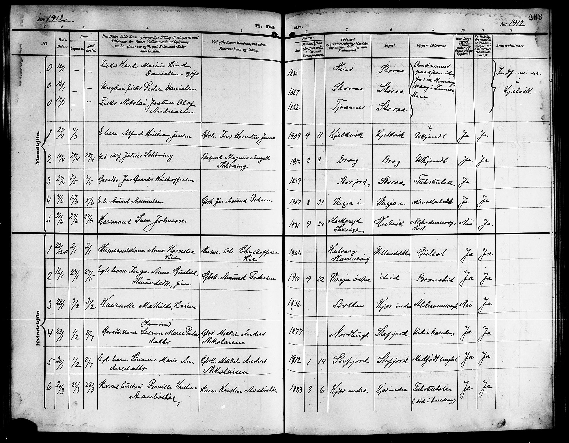 Ministerialprotokoller, klokkerbøker og fødselsregistre - Nordland, AV/SAT-A-1459/861/L0877: Klokkerbok nr. 861C03, 1903-1919, s. 263