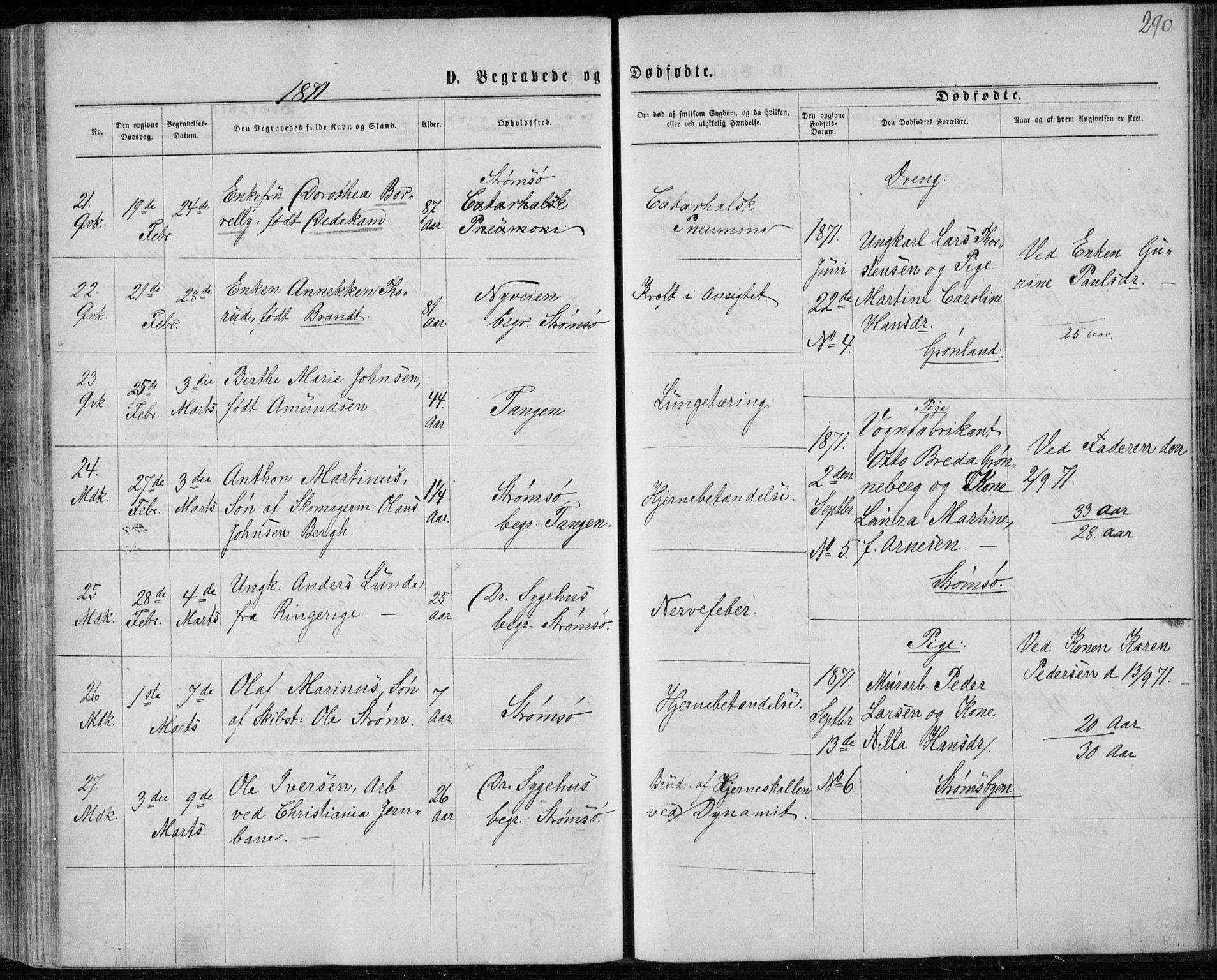 Strømsø kirkebøker, AV/SAKO-A-246/F/Fa/L0016: Ministerialbok nr. I 16, 1868-1873, s. 290