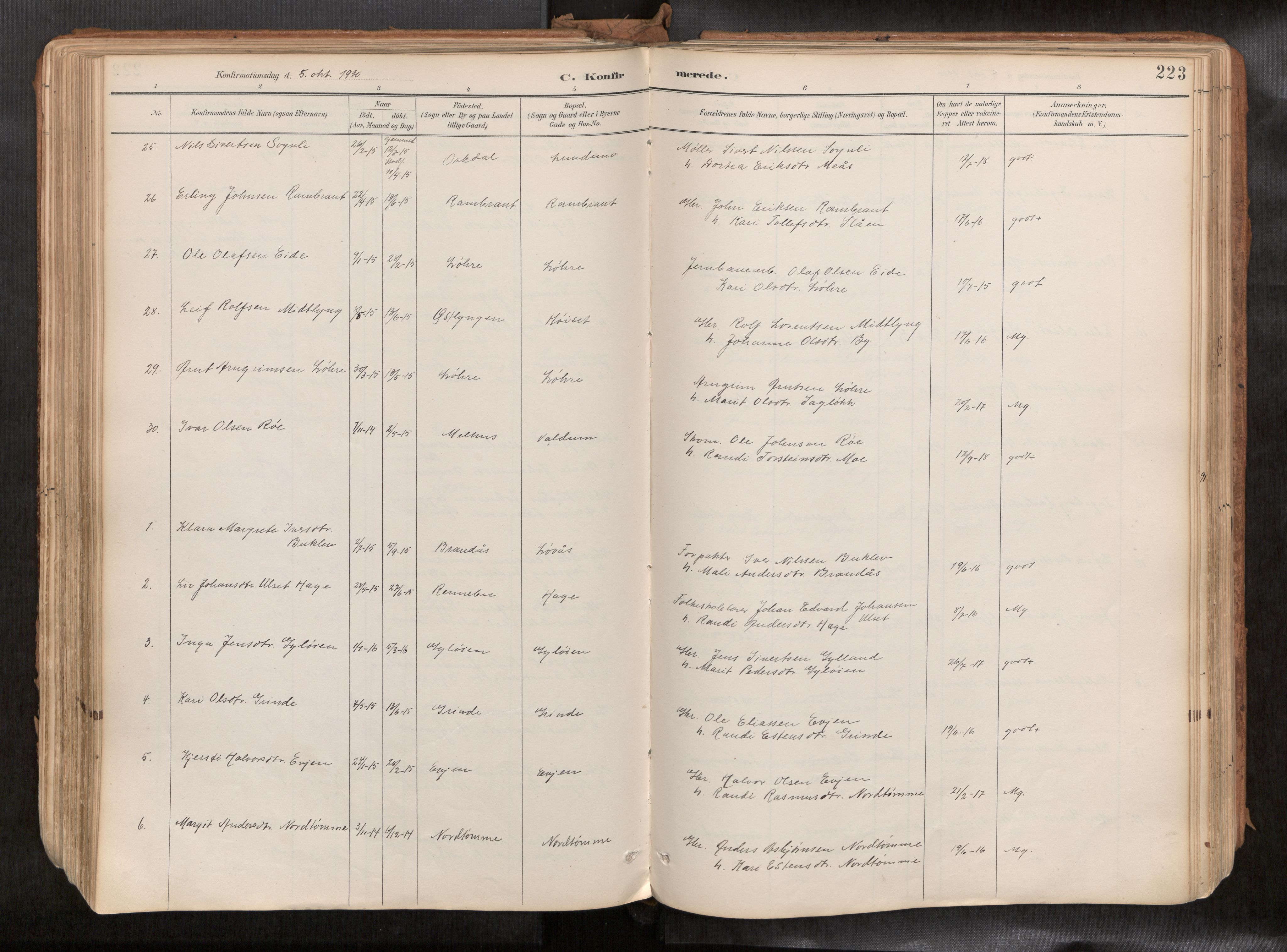 Ministerialprotokoller, klokkerbøker og fødselsregistre - Sør-Trøndelag, SAT/A-1456/692/L1105b: Ministerialbok nr. 692A06, 1891-1934, s. 223