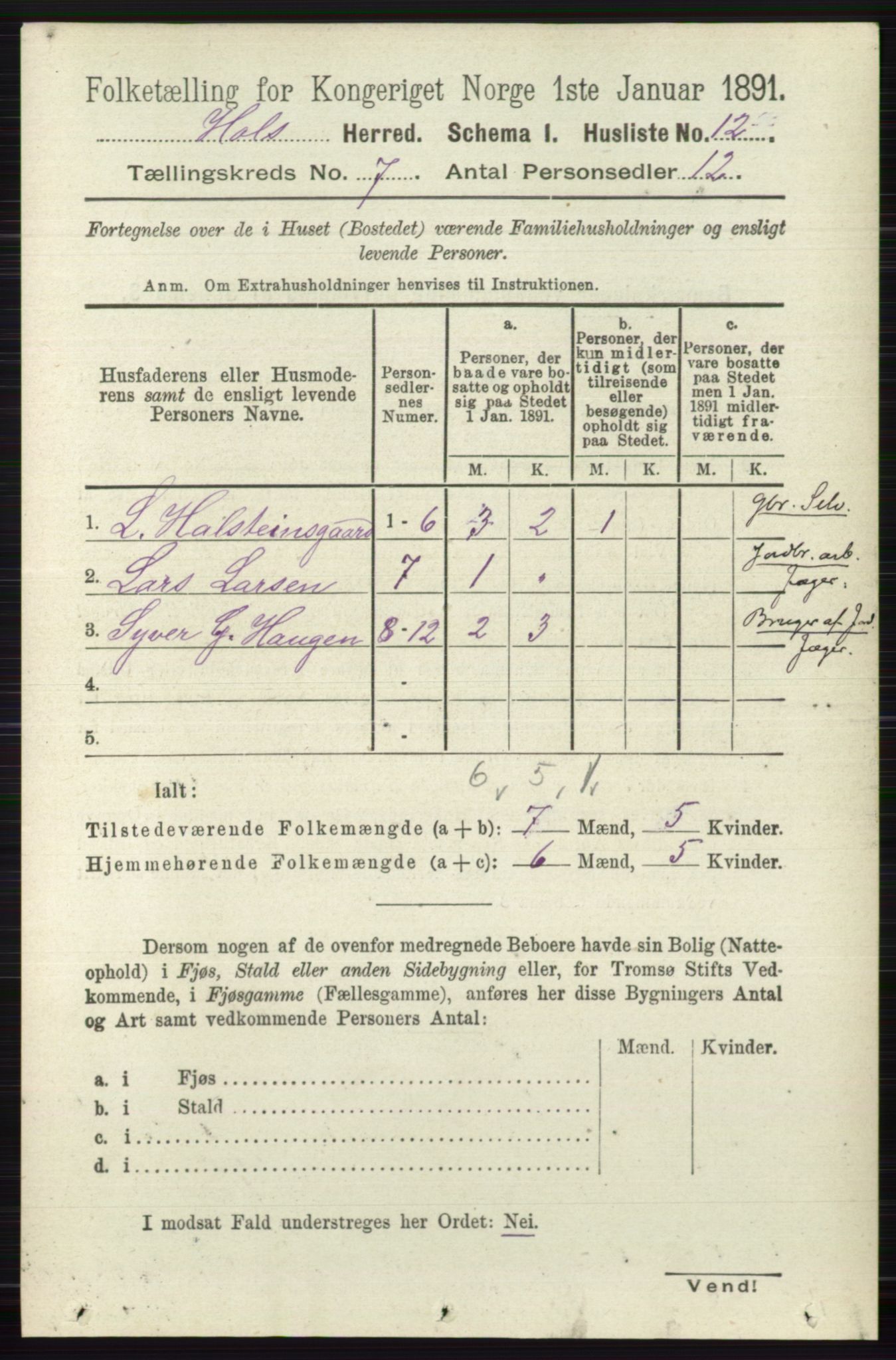 RA, Folketelling 1891 for 0620 Hol herred, 1891, s. 1987