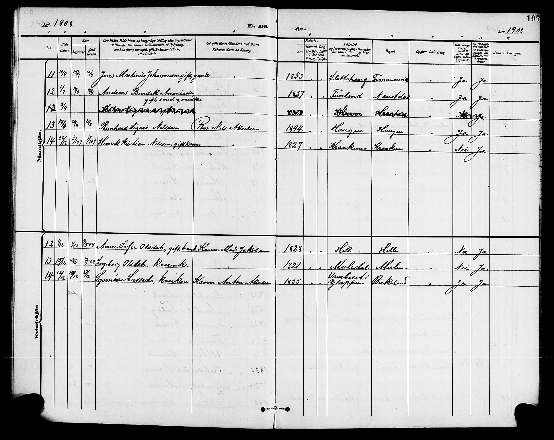 Førde sokneprestembete, AV/SAB-A-79901/H/Hab/Habd/L0005: Klokkerbok nr. D 5, 1898-1911, s. 107